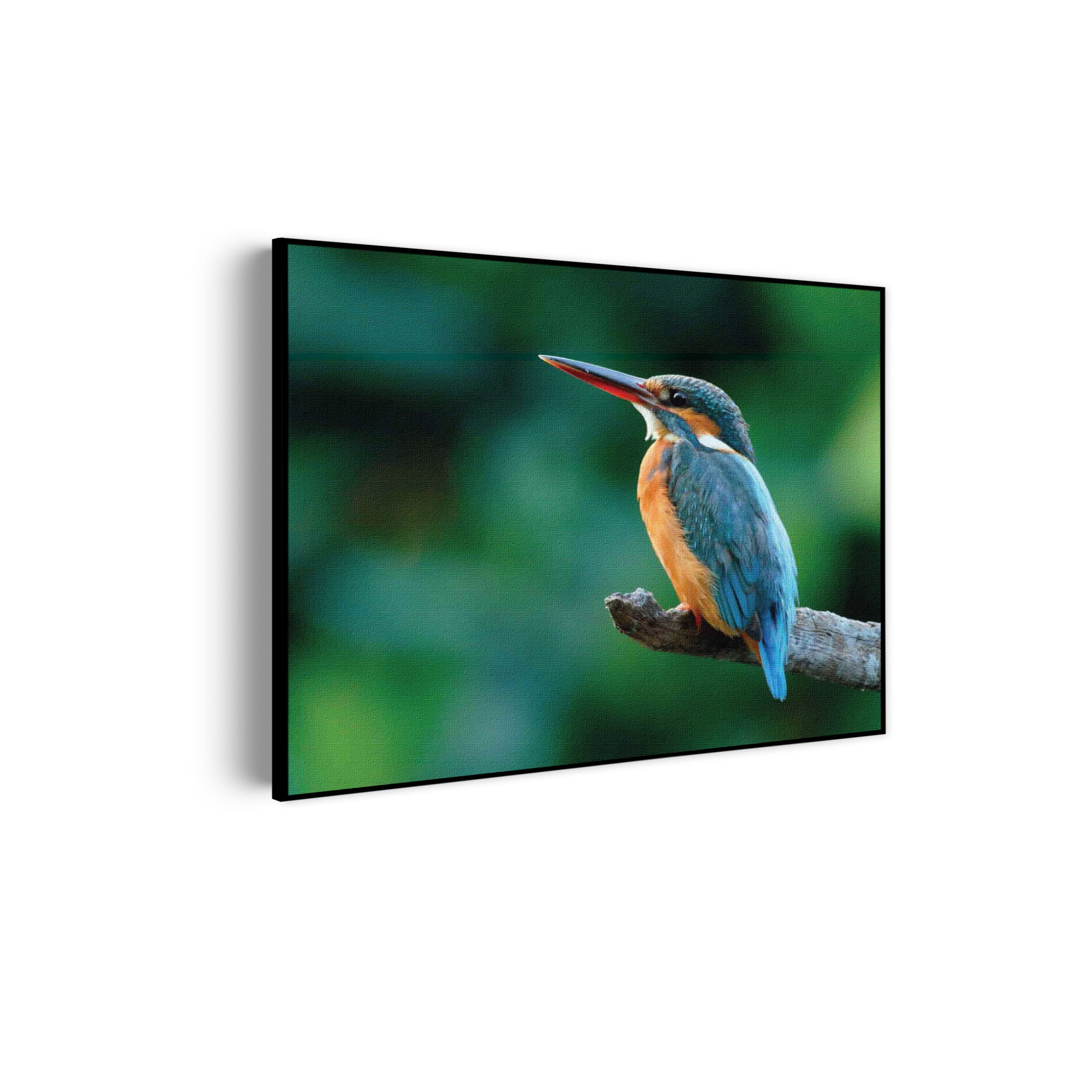 Akoestisch Schilderij De Ijsvogel Rechthoek Horizontaal Template 50 70 horizontaal dieren 51 scaled 1