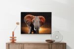 Akoestisch Schilderij De dieren van Zuid Afrika Rechthoek Horizontaal Template 50 70 horizontaal dieren 53 2 scaled 1