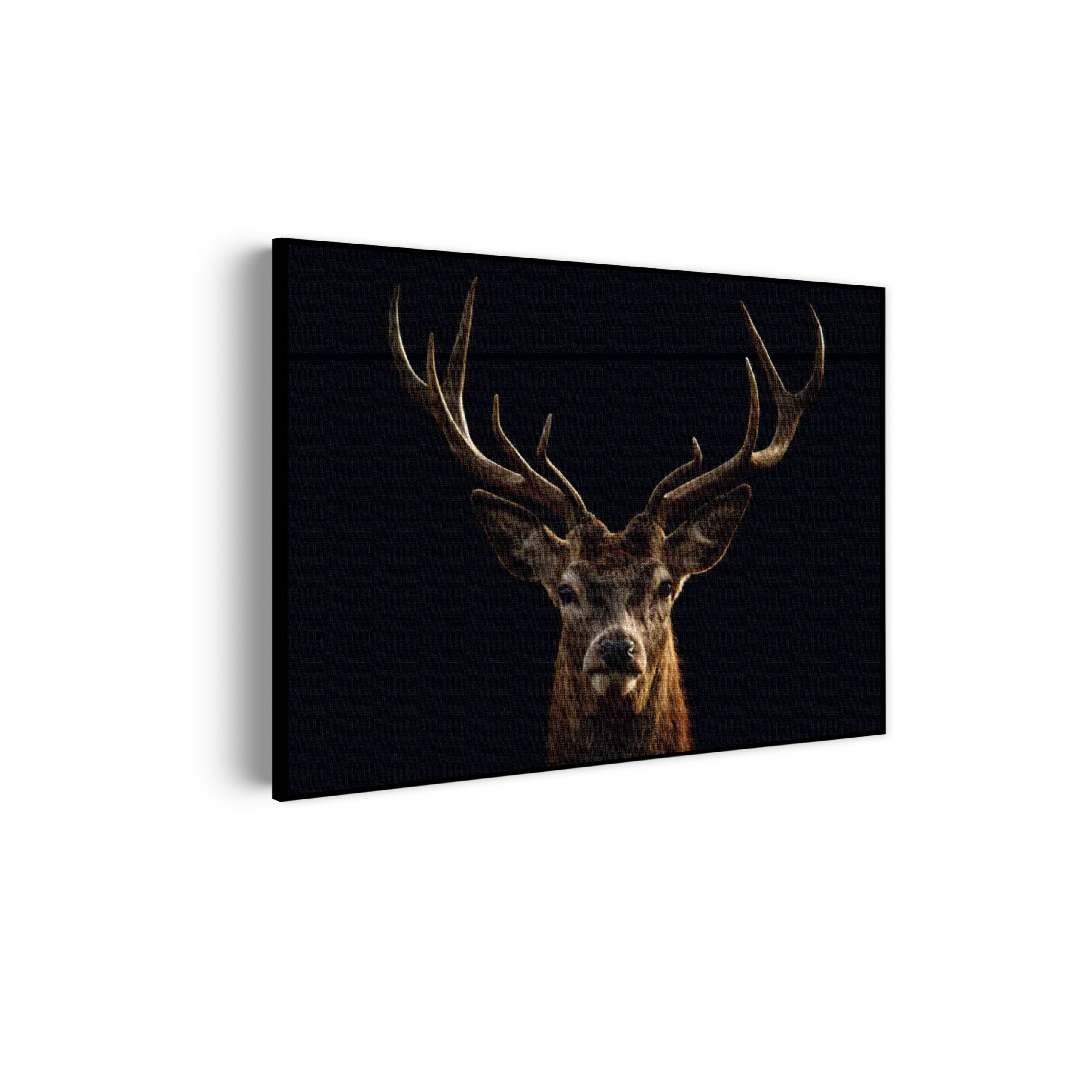Akoestisch Schilderij Edelhert Met Zwarte Achtergrond Rechthoek Horizontaal Template 50 70 horizontaal dieren 54 scaled 1