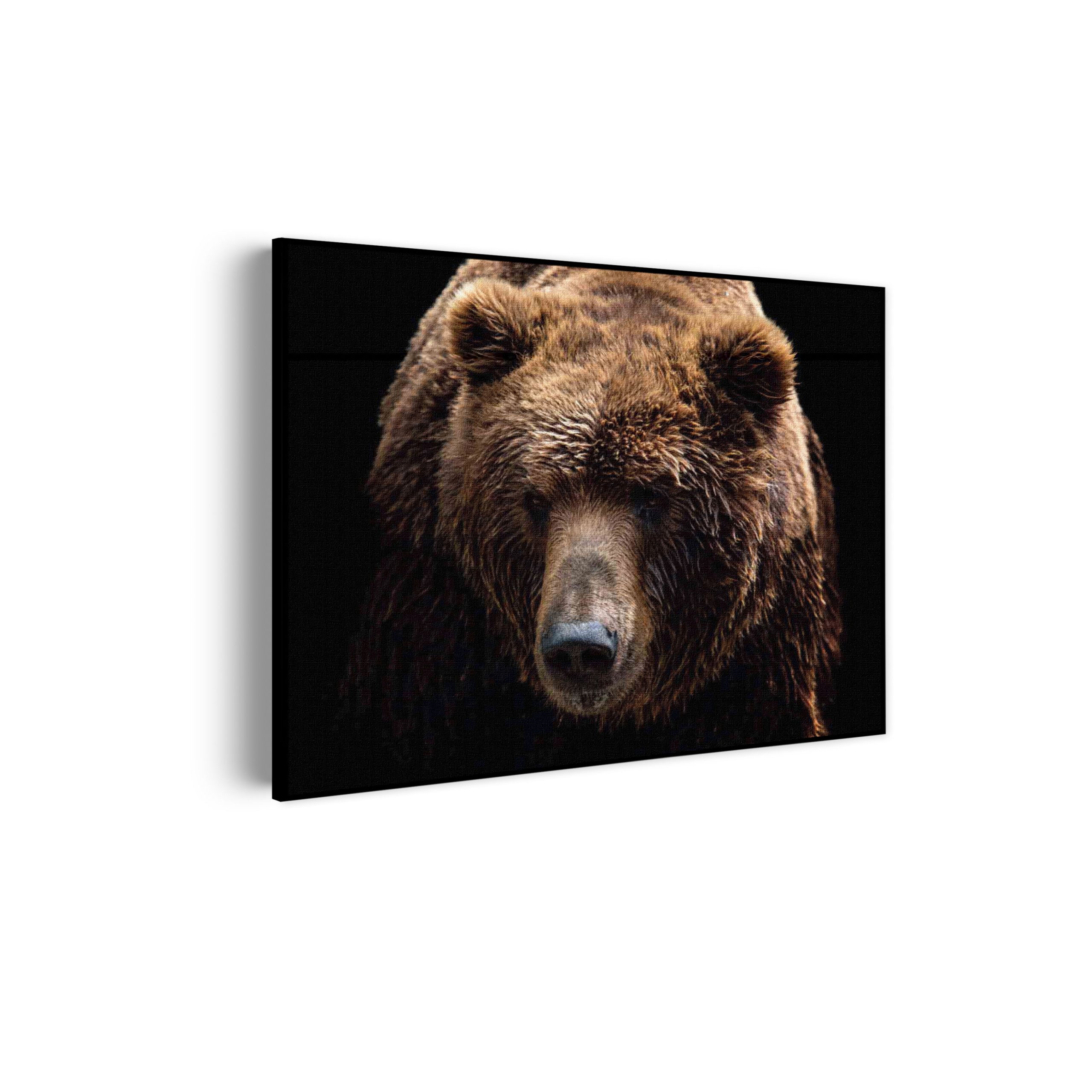 Template_50-70_horizontaal_dieren_55-scaled Akoestisch Schilderij De Bruine Beer Rechthoek Horizontaal Template 50 70 horizontaal dieren 55 scaled 1