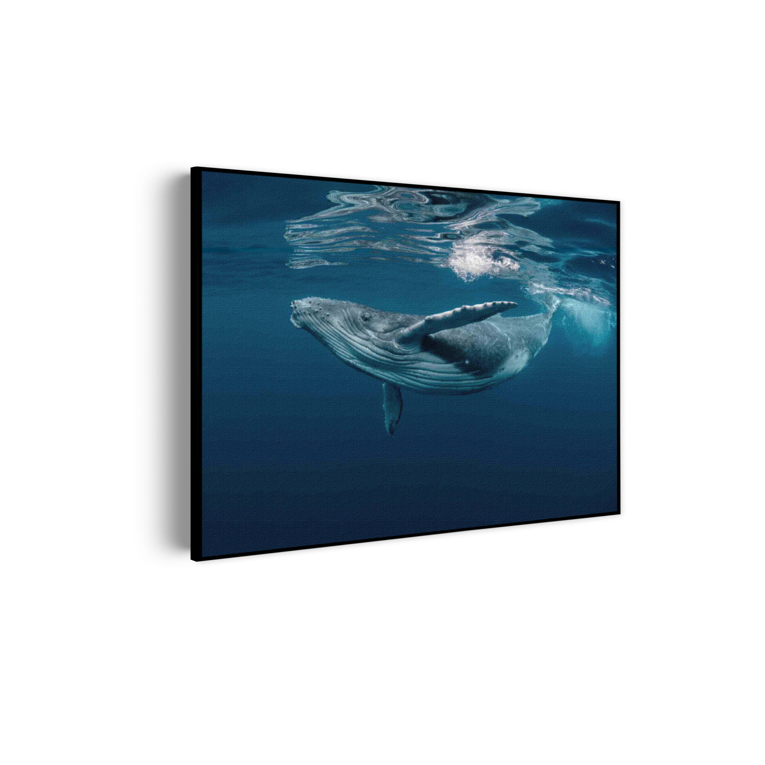 Akoestisch Schilderij De Walvis Rechthoek Horizontaal Template 50 70 horizontaal dieren 60 scaled 1