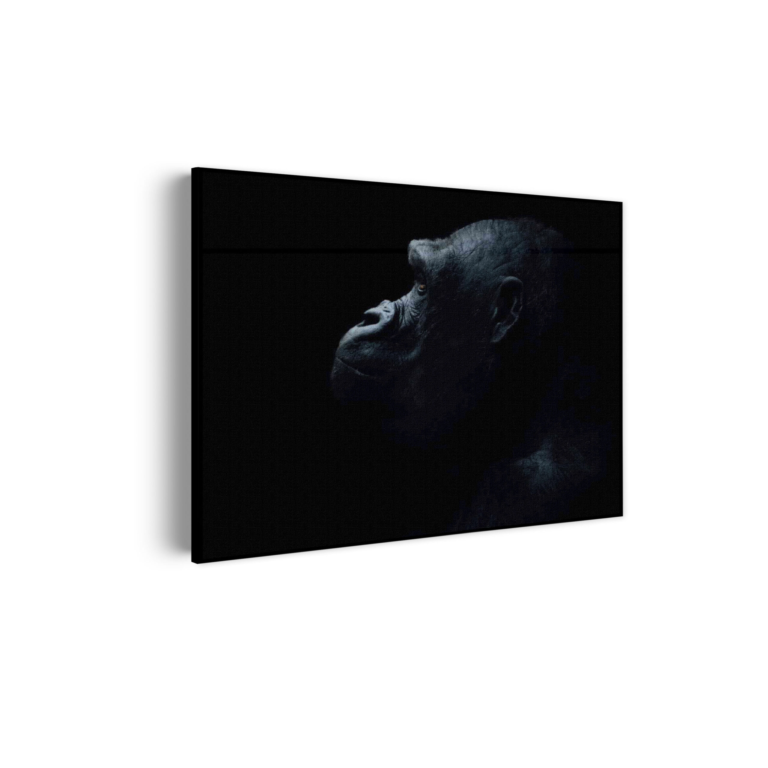 Akoestisch Schilderij De Aap Zwart Wit Rechthoek Horizontaal Template 50 70 horizontaal dieren 65 scaled 1