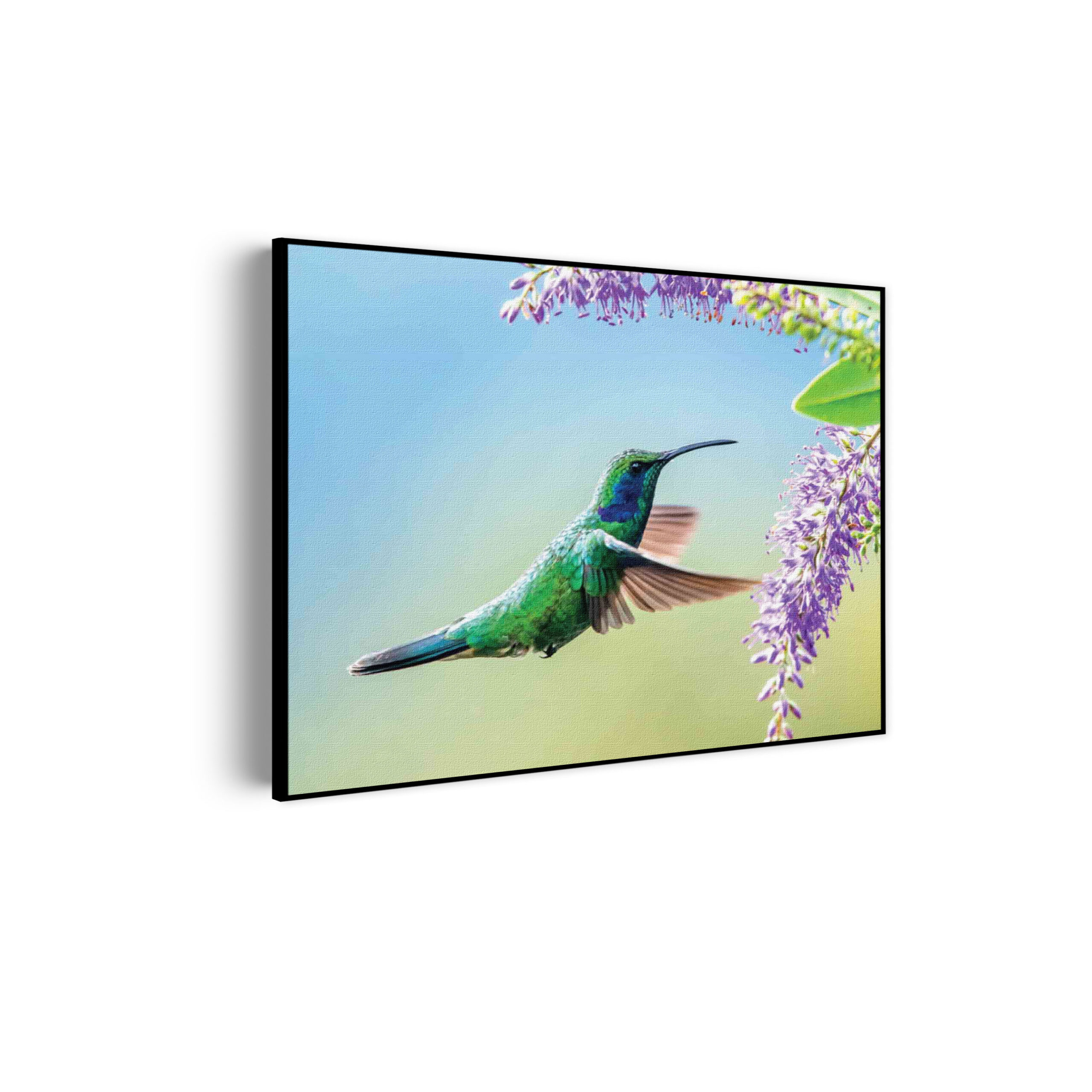 Template_50-70_horizontaal_dieren_66-scaled Akoestisch Schilderij Colibri Onderweg Naar Lavendel Rechthoek Horizontaal Template 50 70 horizontaal dieren 66 scaled 1