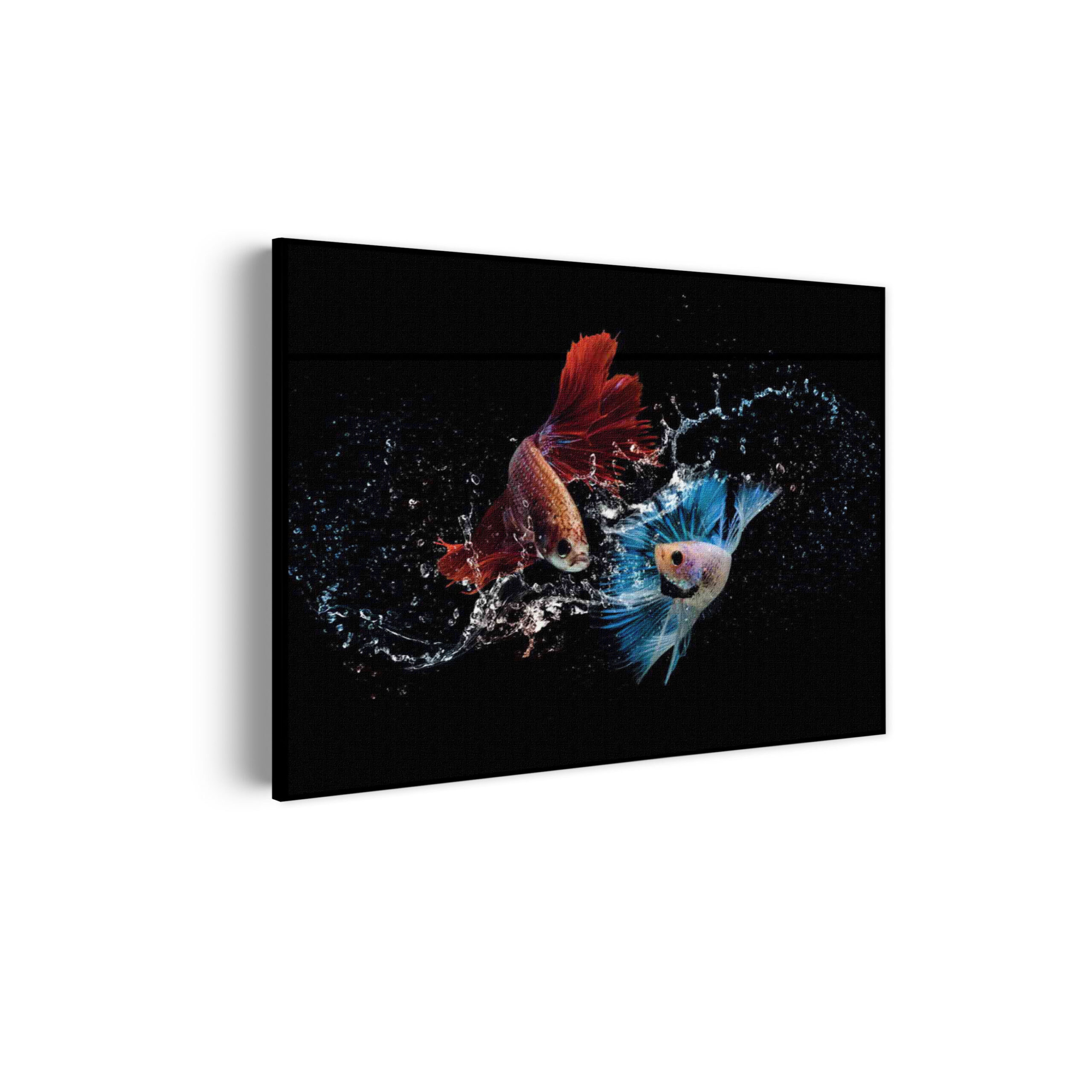 Akoestisch Schilderij Twain Betta Fishes Rechthoek Horizontaal Template 50 70 horizontaal dieren 68 scaled 1