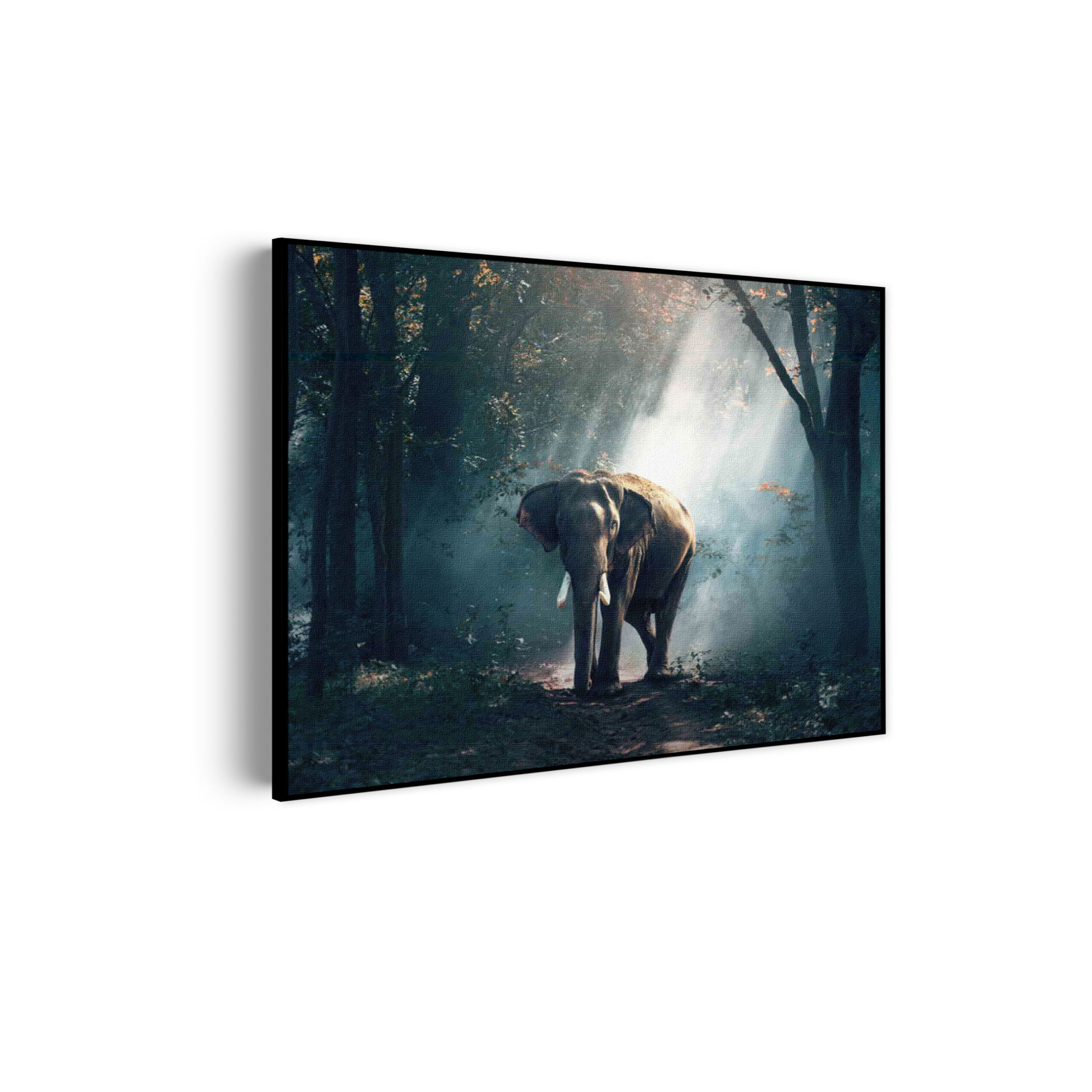 Template_50-70_horizontaal_dieren_69-scaled Akoestisch Schilderij De Belichten Olifant Rechthoek Horizontaal Template 50 70 horizontaal dieren 69 scaled 1