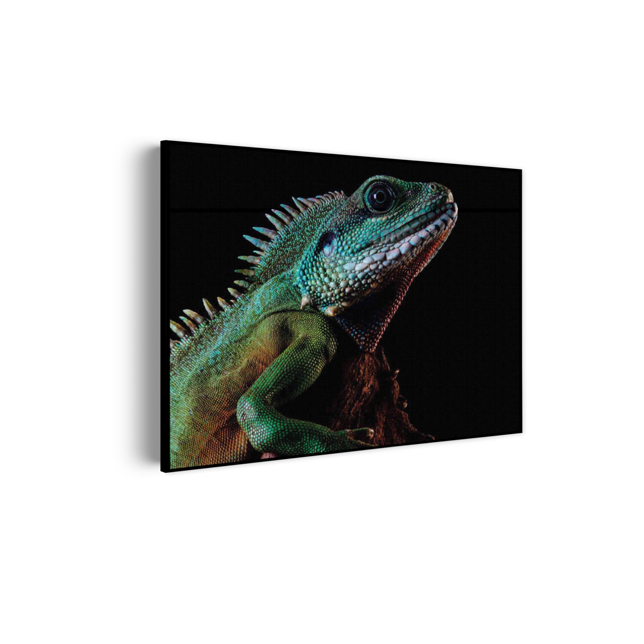 Akoestisch Schilderij De Groene Kameleon Rechthoek Horizontaal Template 50 70 horizontaal dieren 73 scaled 1
