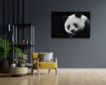 Akoestisch Schilderij Pandabeer Zwart Wit 02 Rechthoek Horizontaal Template 50 70 horizontaal dieren 74 1 scaled 1