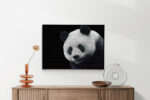Akoestisch Schilderij Pandabeer Zwart Wit 02 Rechthoek Horizontaal Template 50 70 horizontaal dieren 74 2 scaled 1