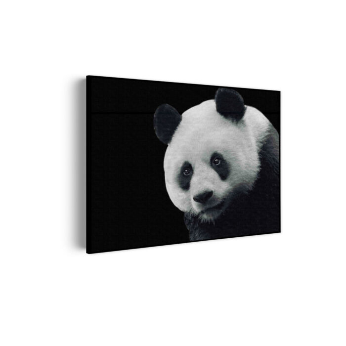 Akoestisch Schilderij Pandabeer Zwart Wit 02 Rechthoek Horizontaal Template 50 70 horizontaal dieren 74 scaled 1