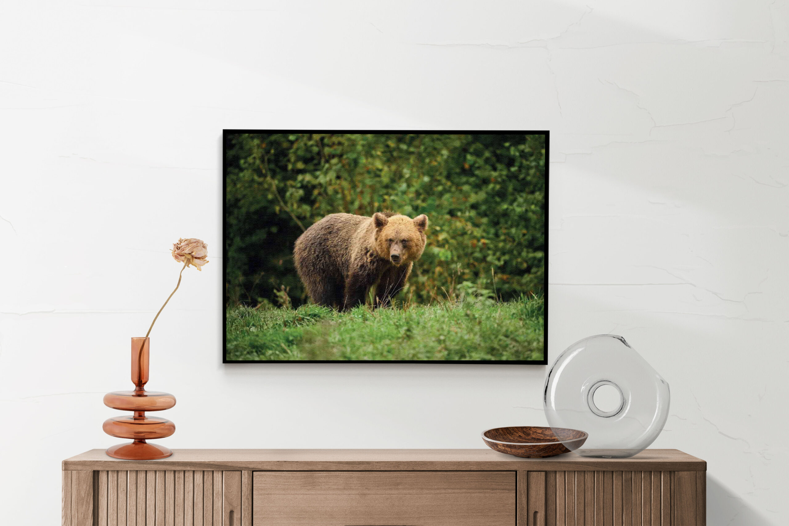 Akoestisch Schilderij De Beer Tussen Het Groen Rechthoek Horizontaal Template 50 70 horizontaal dieren 78 2 scaled 1