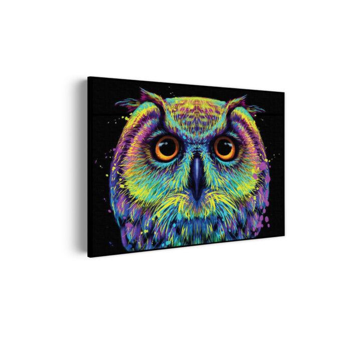 Akoestisch Schilderij Colored Owl 01 Rechthoek Horizontaal Template 50 70 horizontaal dieren 82 scaled 1