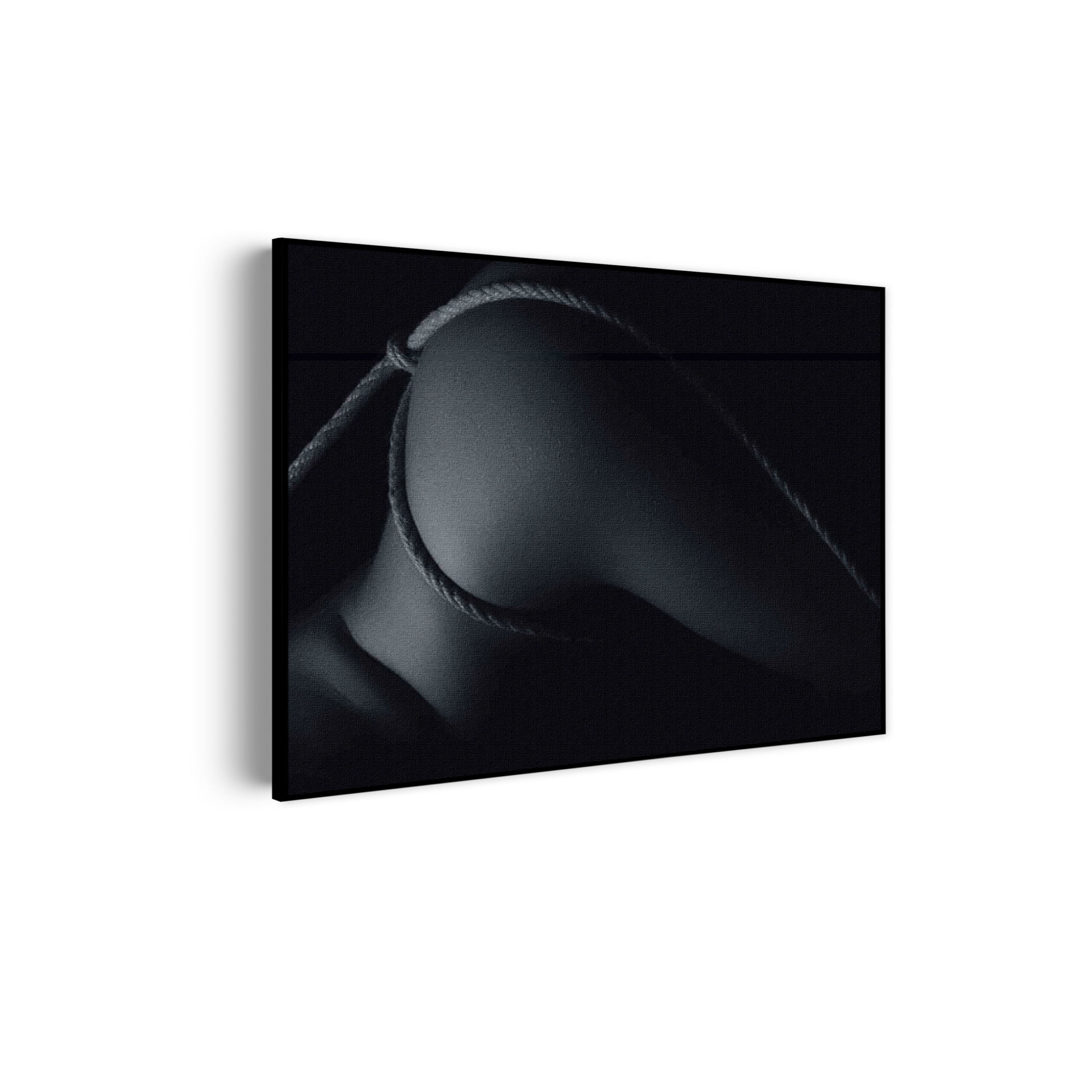 Akoestisch Schilderij Vrouw Met Sexy Touw Rechthoek Horizontaal Template 50 70 horizontaal mensen 3 scaled 1