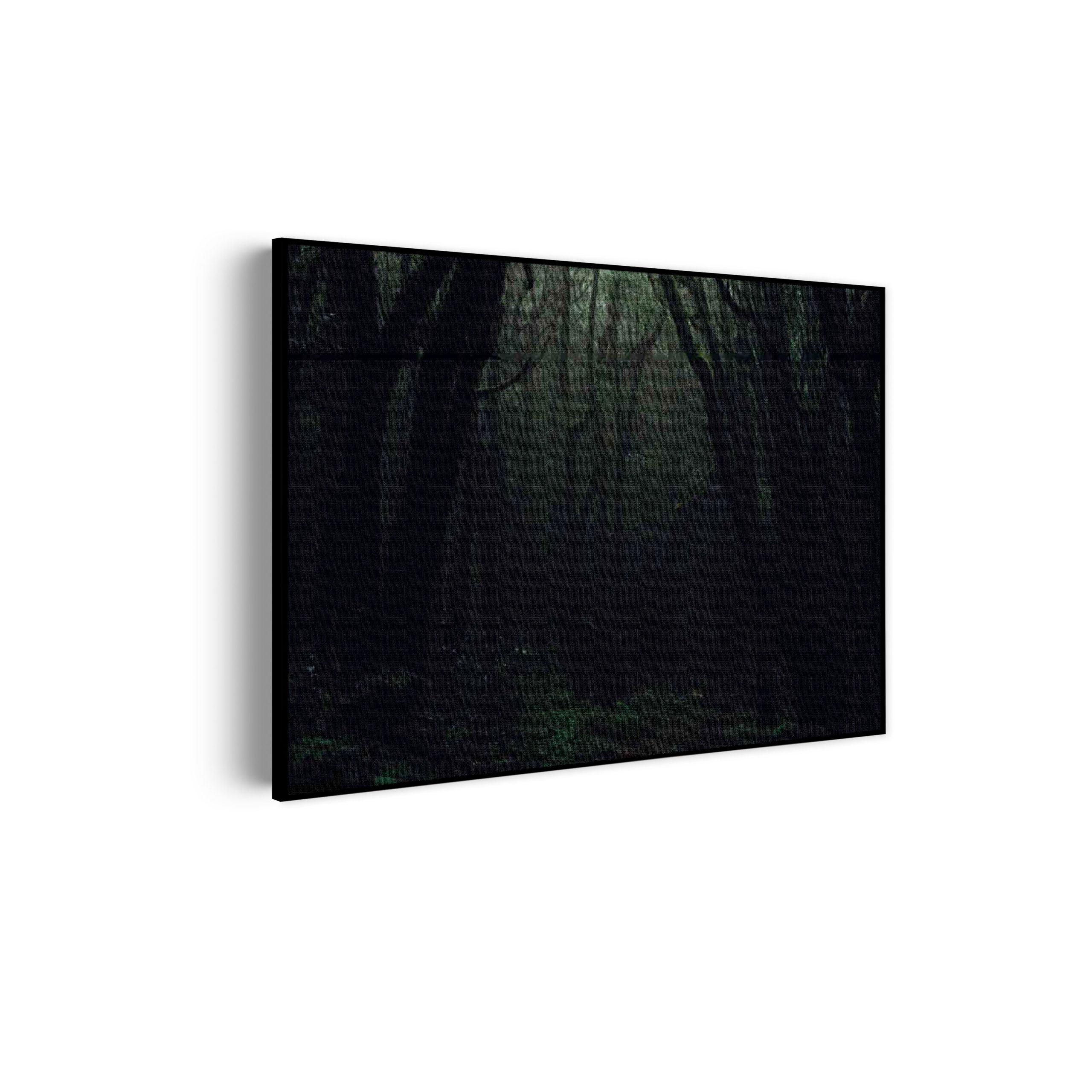 Akoestisch Schilderij Het Donkere Bos Rechthoek Horizontaal Template 50 70 horizontaal natuur 1 scaled 1