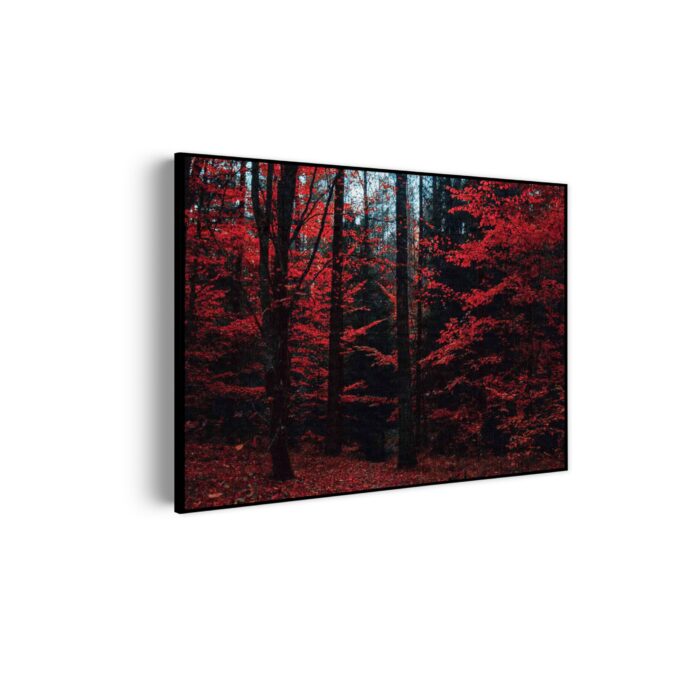 Akoestisch Schilderij Het rode bos Rechthoek Horizontaal Template 50 70 horizontaal natuur 12 scaled 1