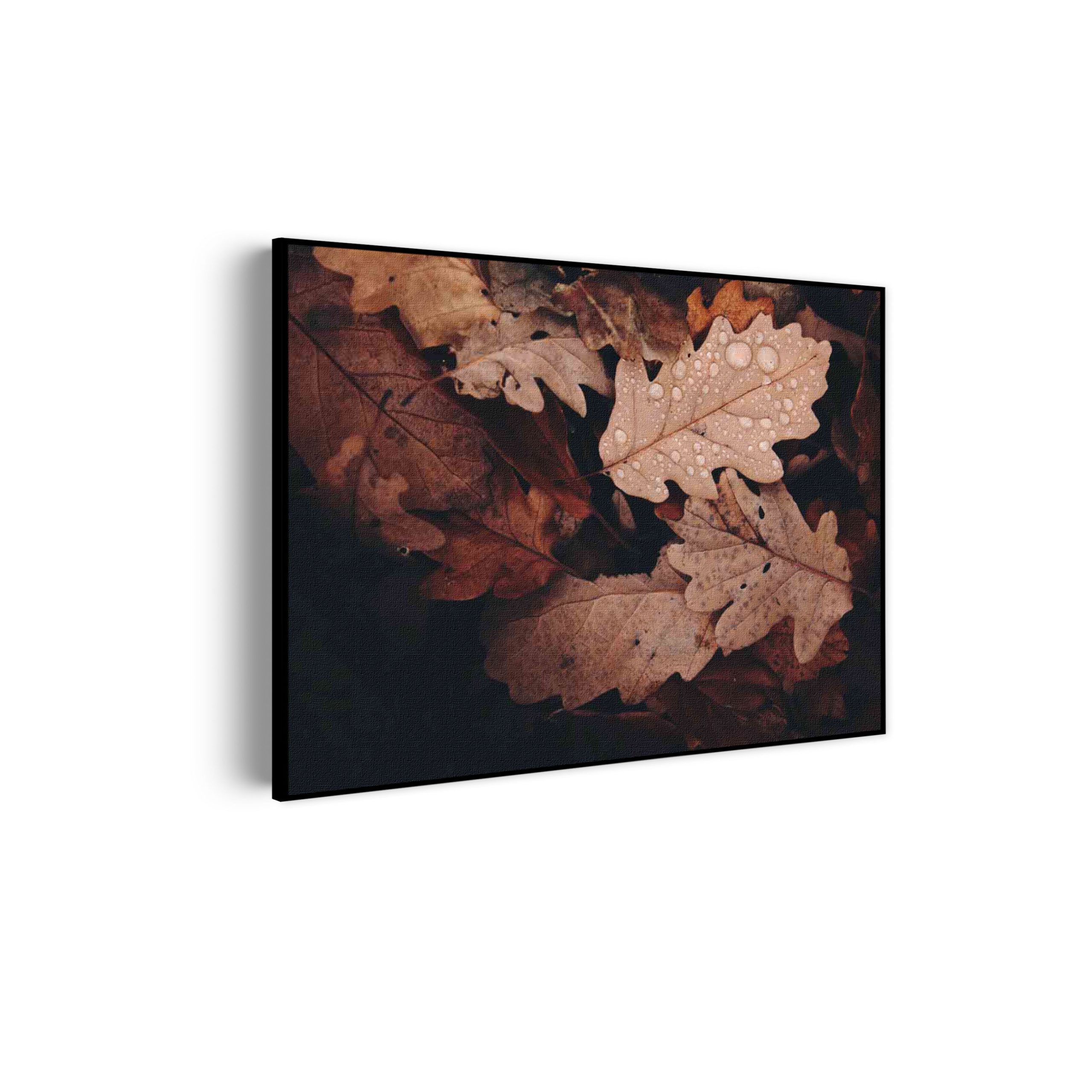 Template_50-70_horizontaal_natuur_13-scaled Akoestisch Schilderij Herfstweer Rechthoek Horizontaal Template 50 70 horizontaal natuur 13 scaled 1