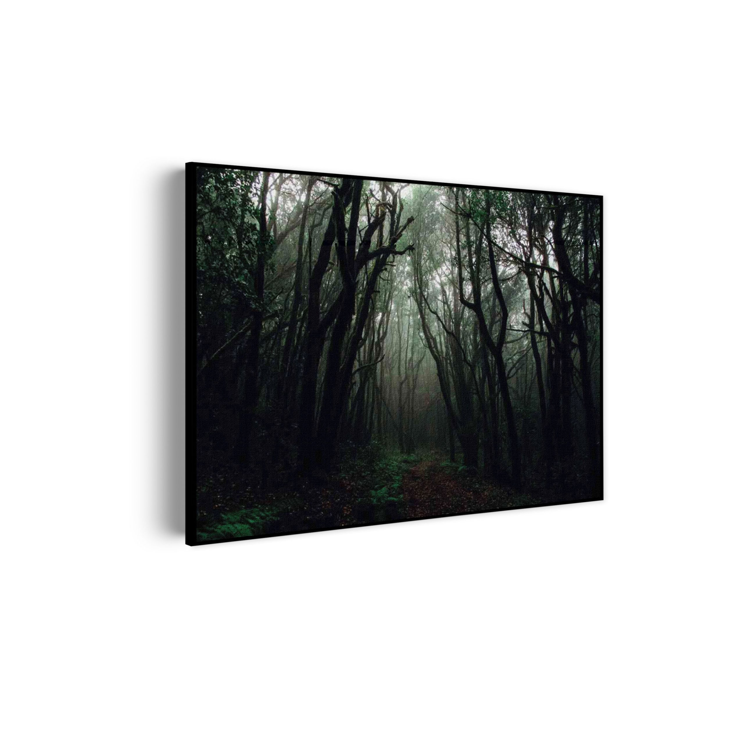 Akoestisch Schilderij Het Donkere Bos Rechthoek Horizontaal Template 50 70 horizontaal natuur 17 scaled 1