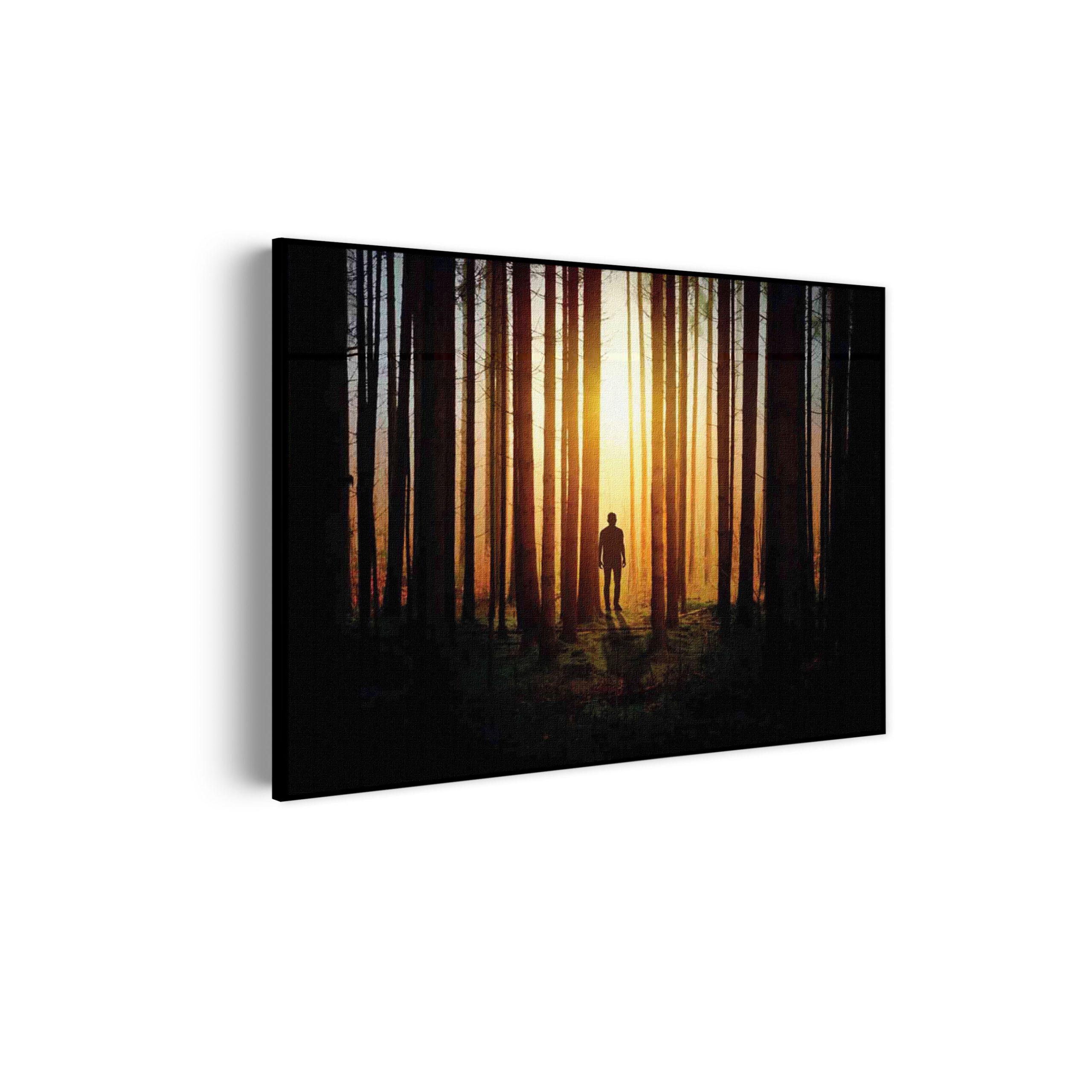 Akoestisch Schilderij Het Donkere Bos Rechthoek Horizontaal Template 50 70 horizontaal natuur 19 scaled 1