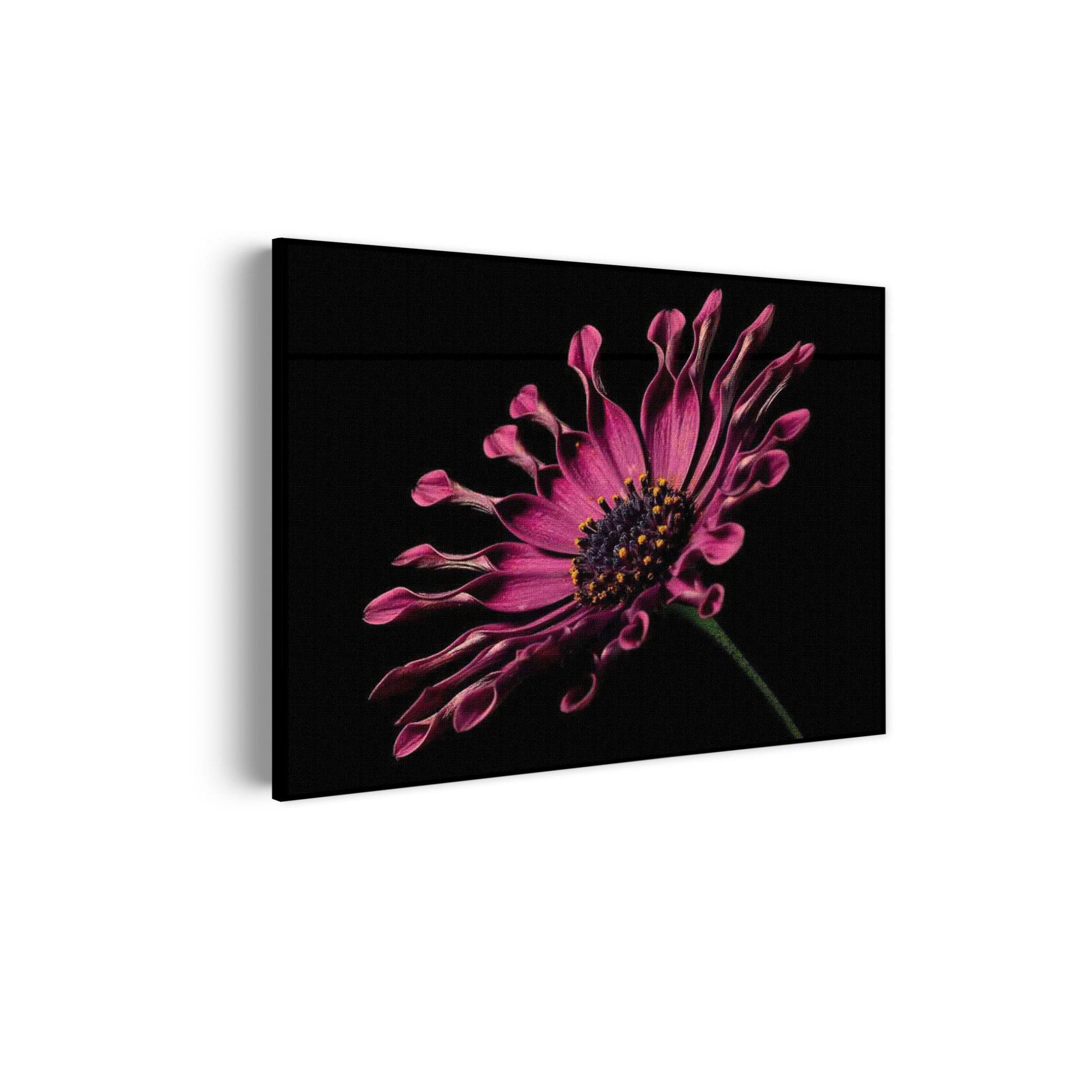 Akoestisch Schilderij Het Donkere Bos Rechthoek Horizontaal Template 50 70 horizontaal natuur 22 scaled 1