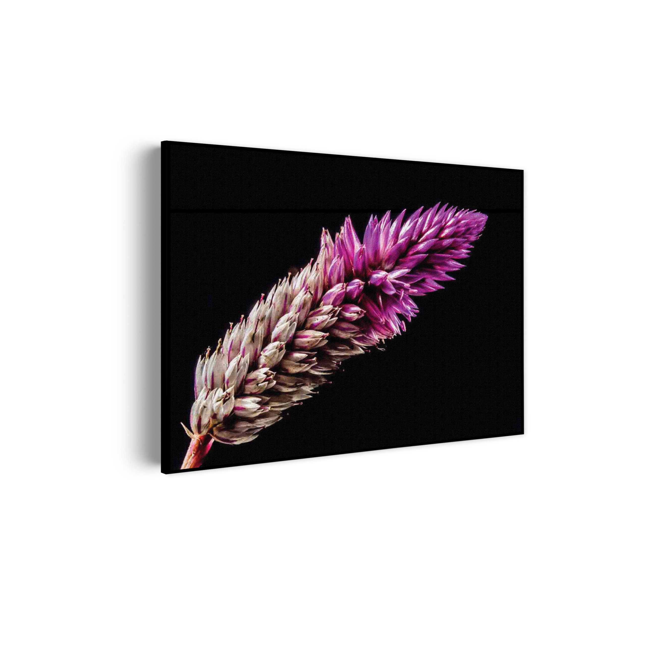 Template_50-70_horizontaal_natuur_24-scaled Akoestisch Schilderij Heiden Bloem Rechthoek Horizontaal Template 50 70 horizontaal natuur 24 scaled 1