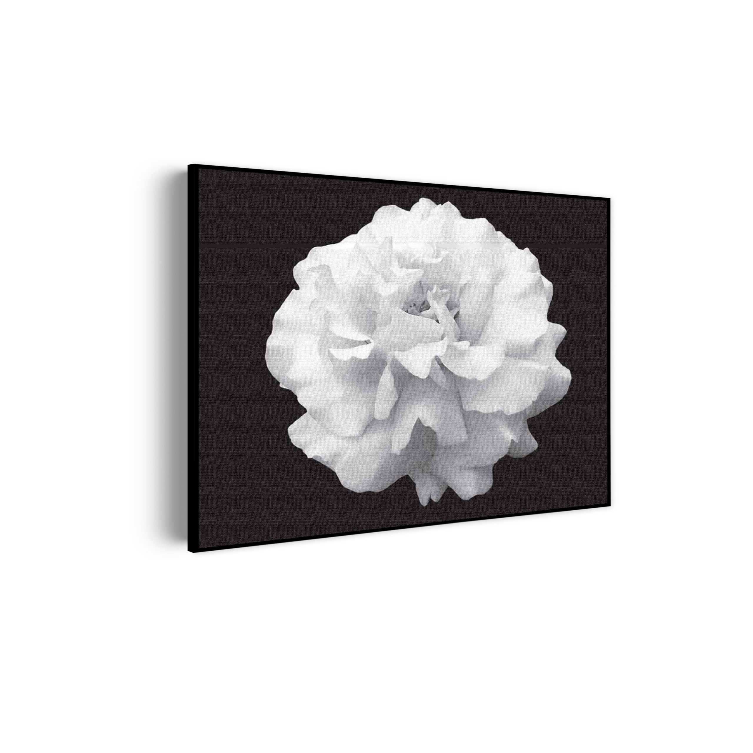 Akoestisch Schilderij Witte Anjer Rechthoek Horizontaal Template 50 70 horizontaal natuur 38 scaled 1