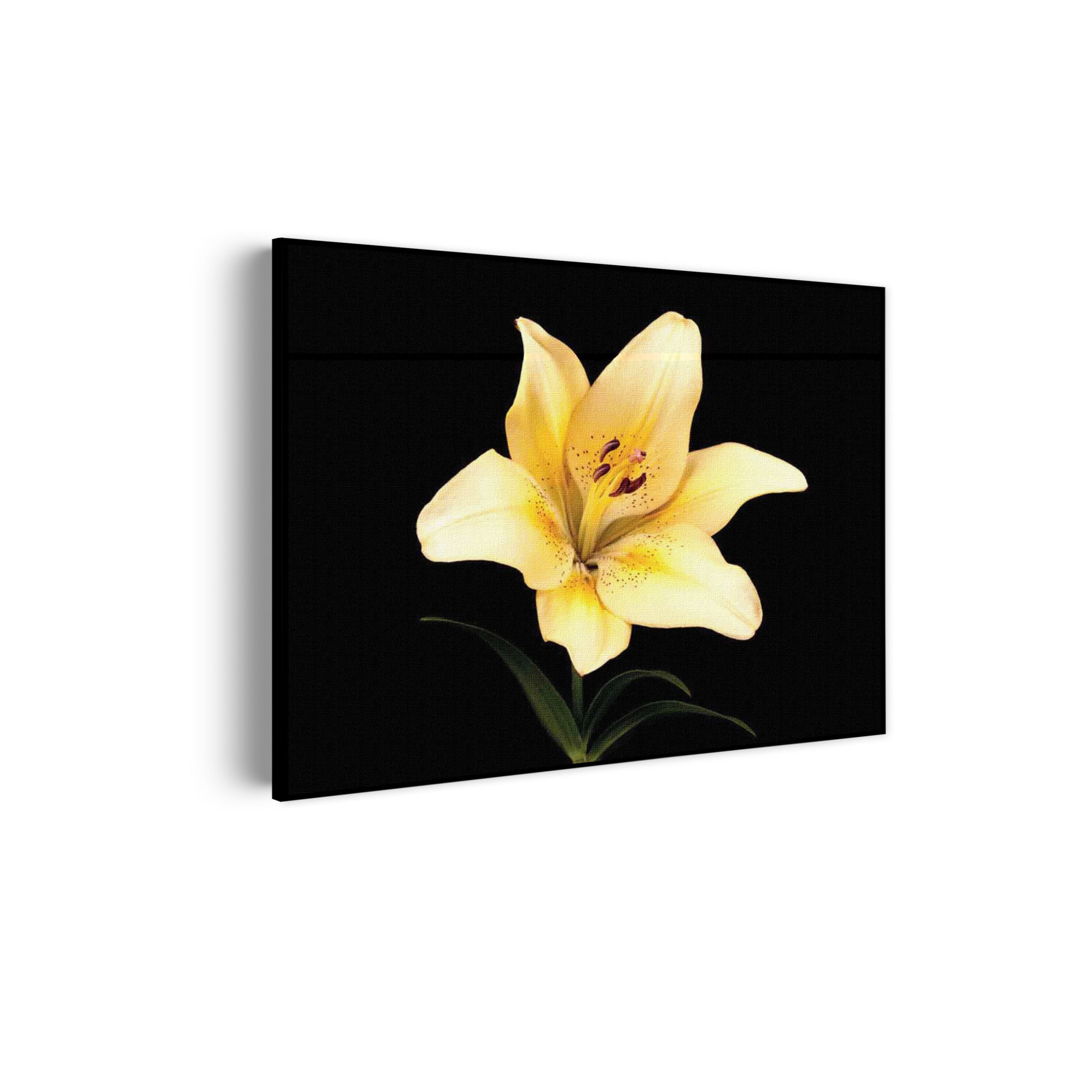 Akoestisch Schilderij Witte Lelie Rechthoek Horizontaal Template 50 70 horizontaal natuur 52 scaled 1