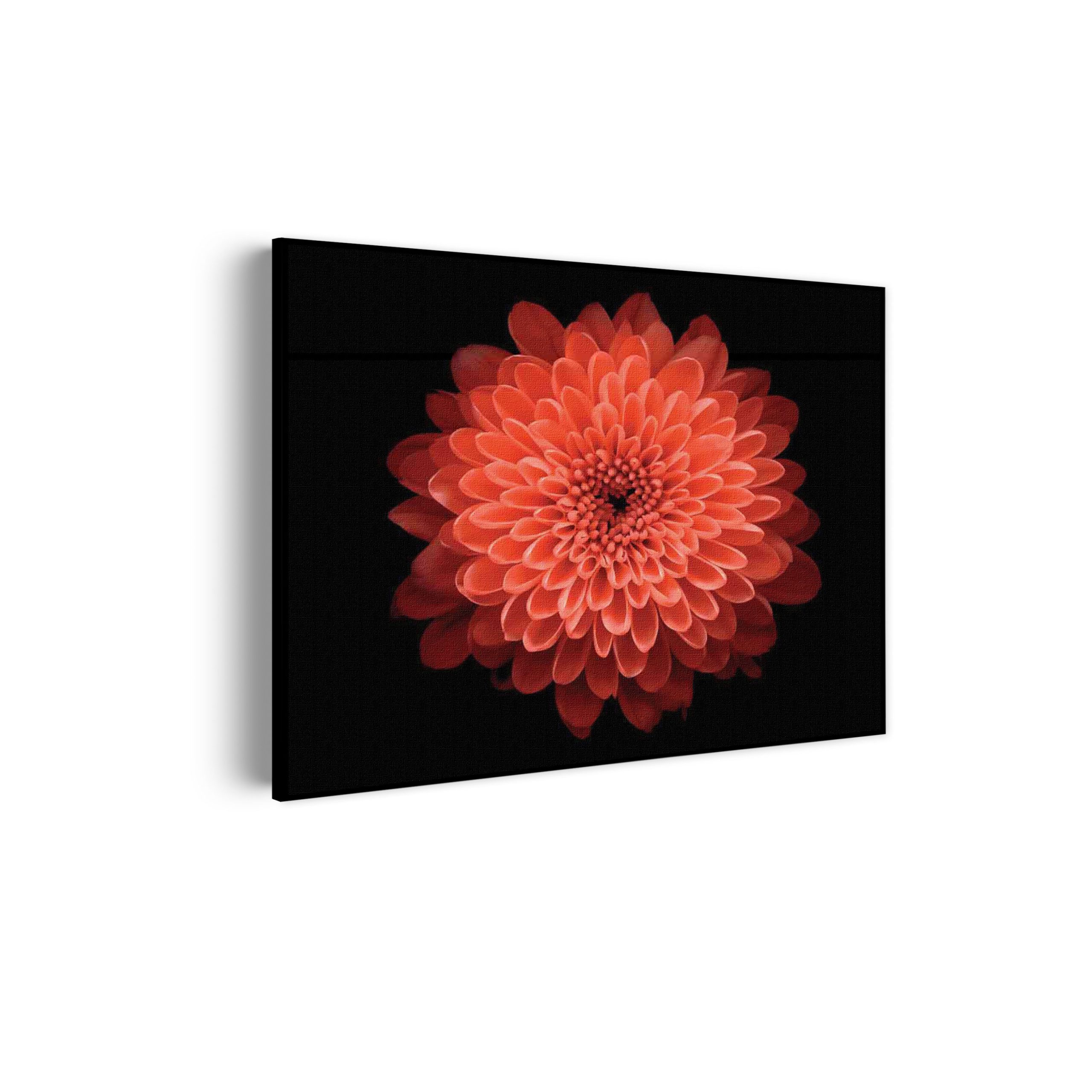 Akoestisch Schilderij Oranje Dahlia Rechthoek Horizontaal Template 50 70 horizontaal natuur 53 scaled 1