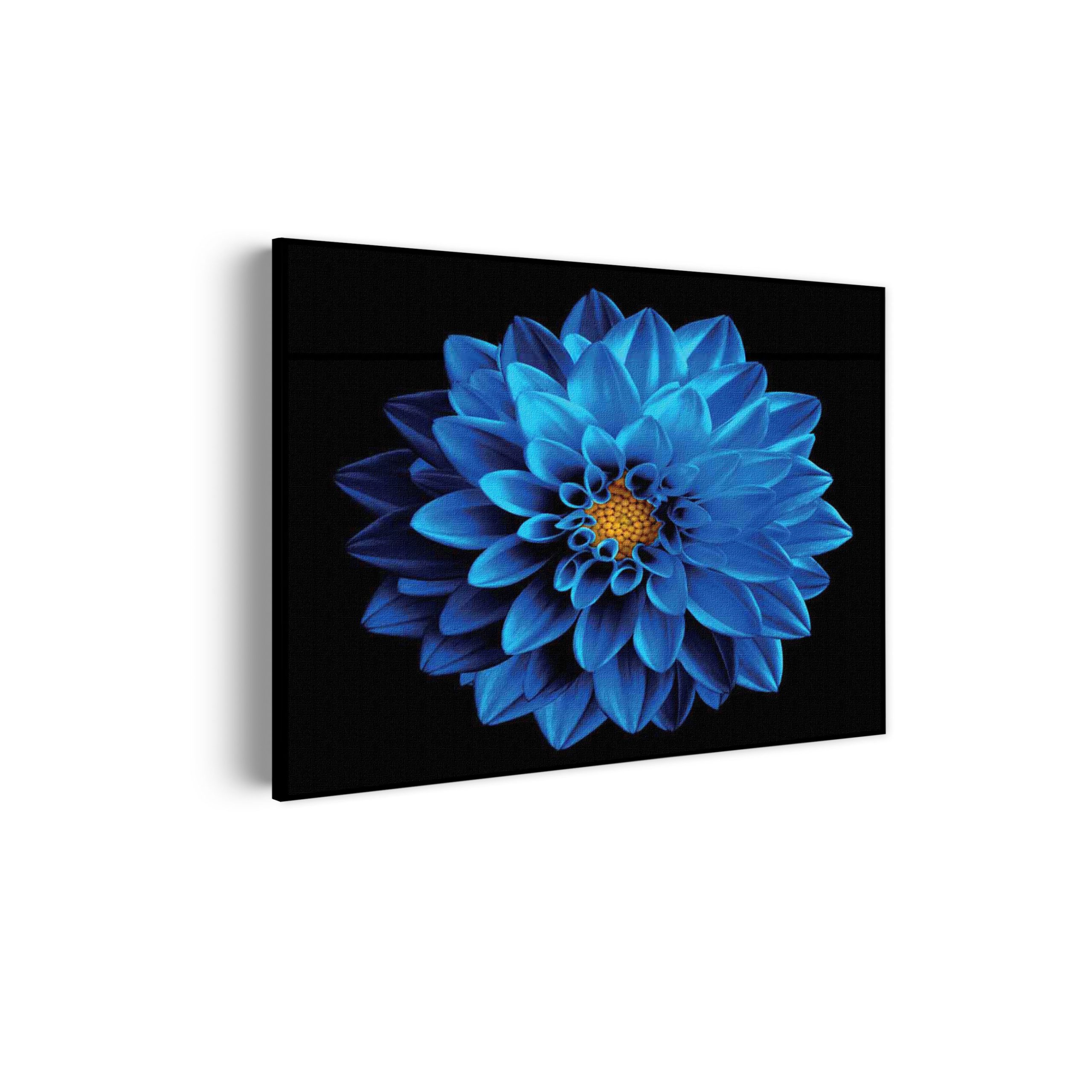 Akoestisch Schilderij Blauwe Dahlia Rechthoek Horizontaal Template 50 70 horizontaal natuur 54 scaled 1
