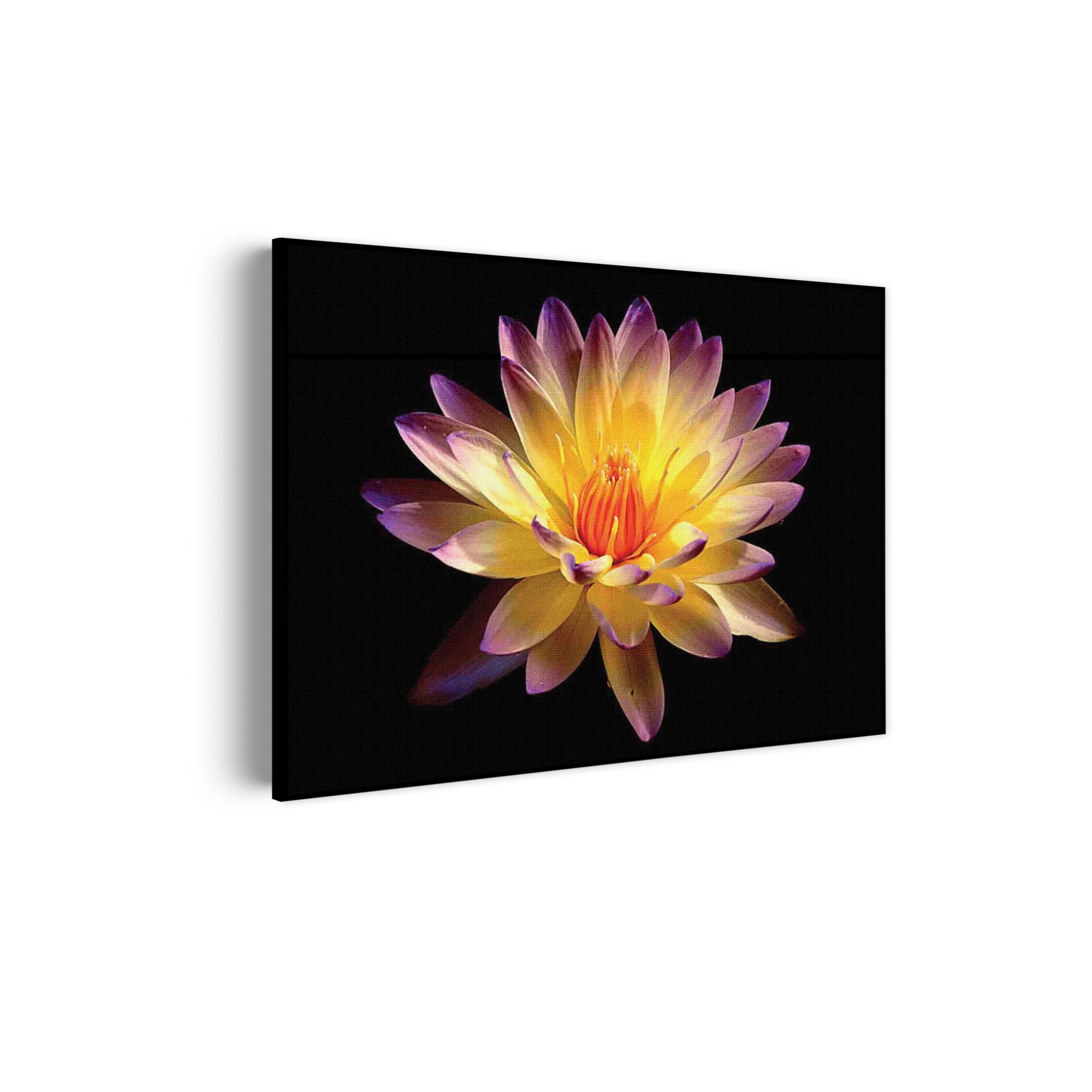 Akoestisch Schilderij Paarse Gele Dahlia Rechthoek Horizontaal Template 50 70 horizontaal natuur 60 scaled 1