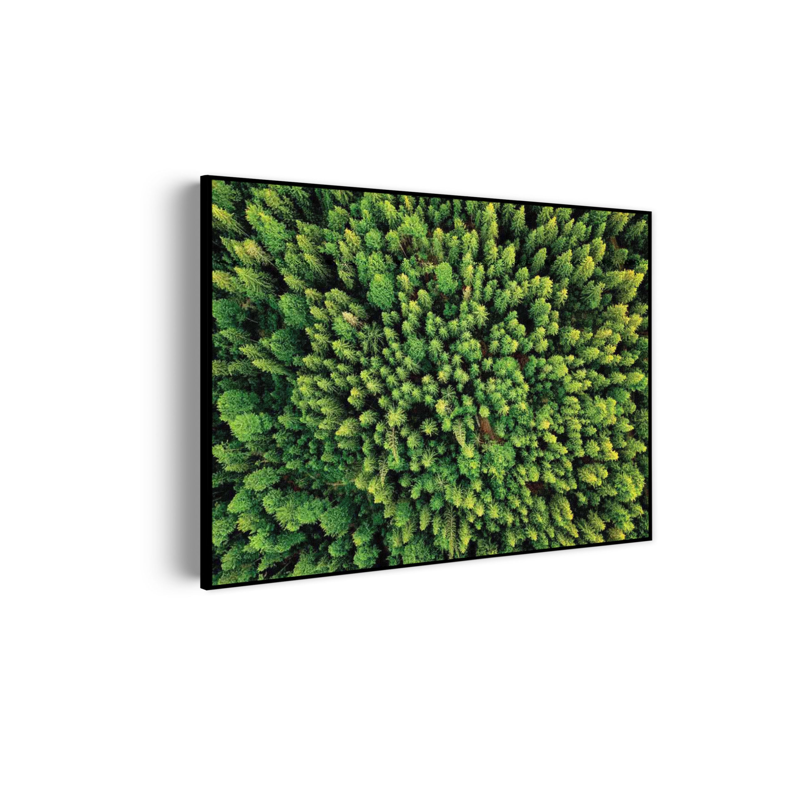 Akoestisch Schilderij Het groene bos Rechthoek Horizontaal Template 50 70 horizontaal natuur 64 scaled 1