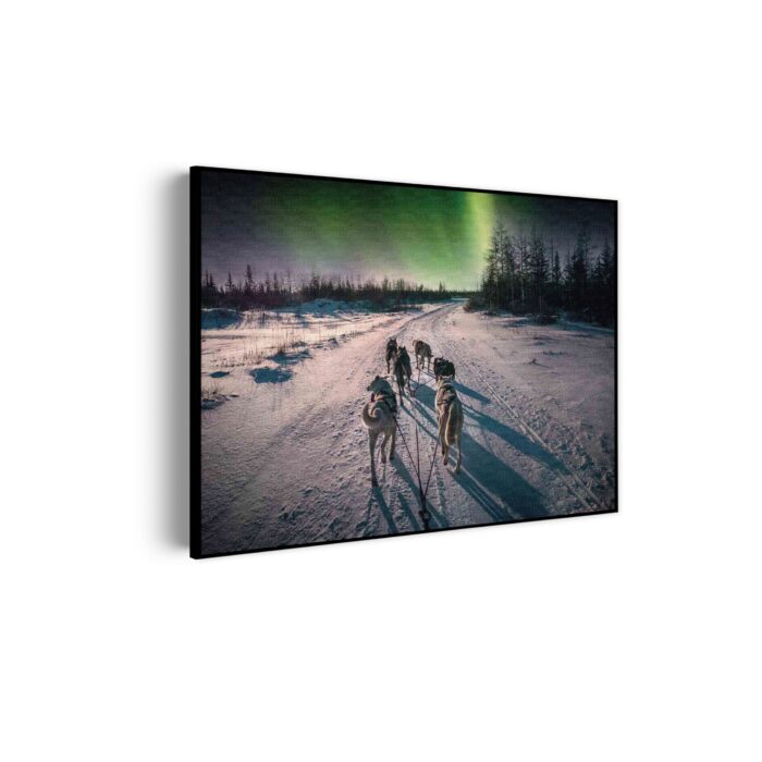 Akoestisch Schilderij Huskies door Lapland Rechthoek Horizontaal Template 50 70 horizontaal natuur 66 scaled 1