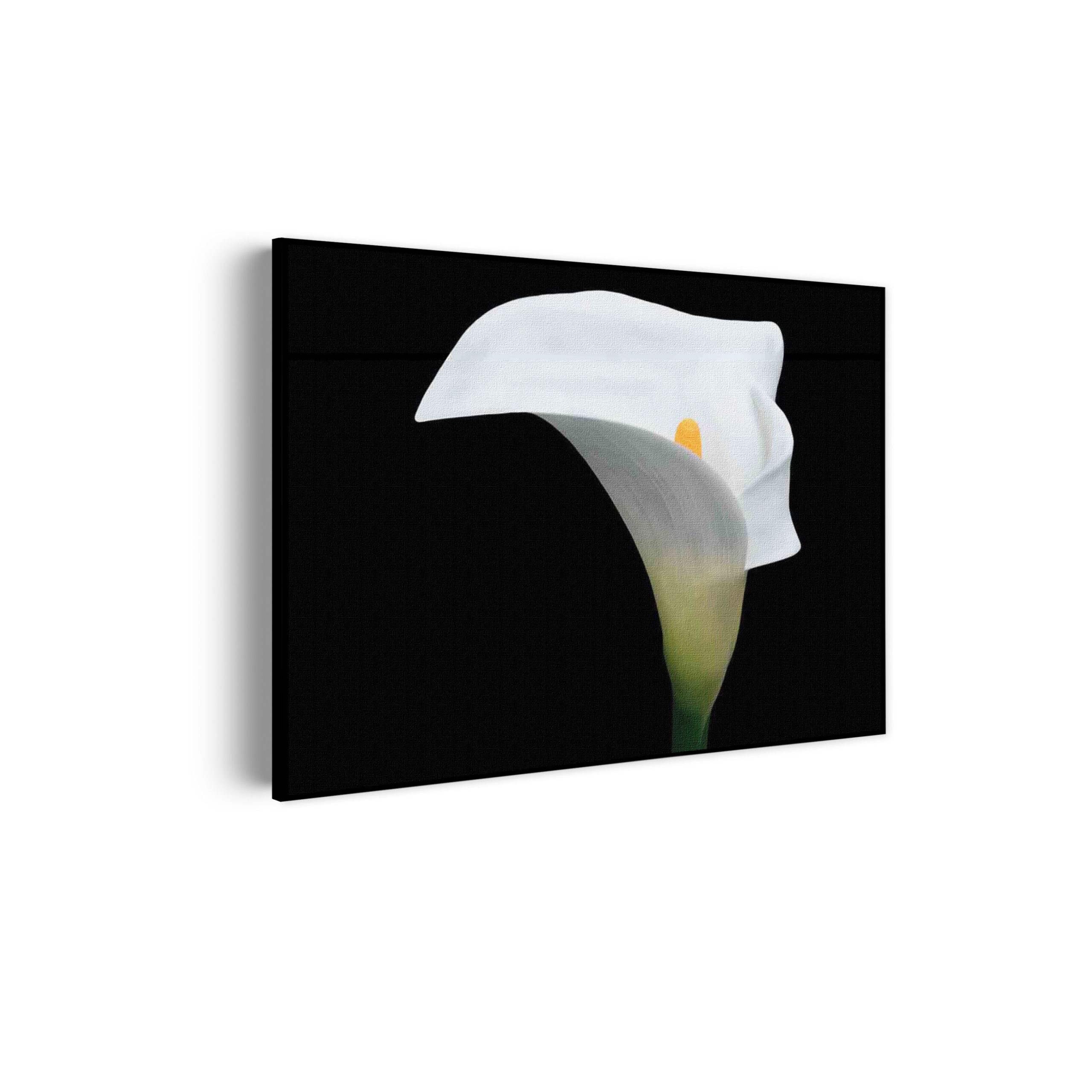 Akoestisch Schilderij Aaronskelk Rechthoek Horizontaal Template 50 70 horizontaal natuur 73 scaled 1