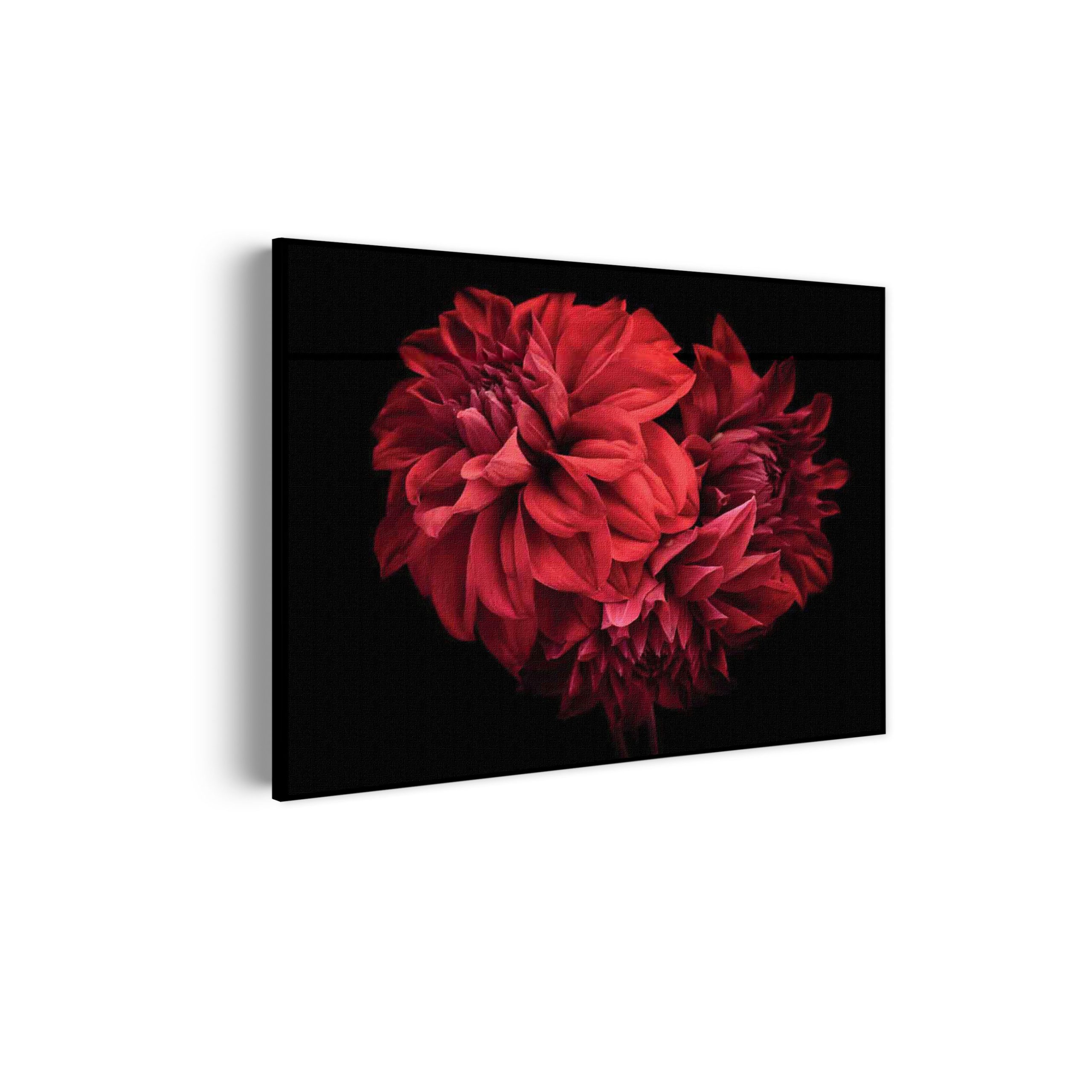 Akoestisch Schilderij Rood Paarse Dahlia Rechthoek Horizontaal Template 50 70 horizontaal natuur 75 scaled 1