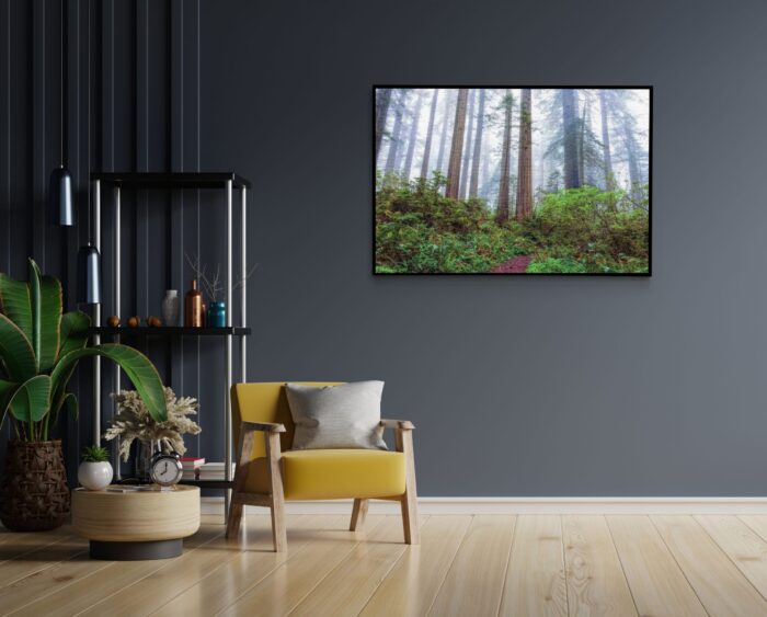 Akoestisch Schilderij Sequoia bos Rechthoek Horizontaal Template 50 70 horizontaal natuur 88 1 scaled 1