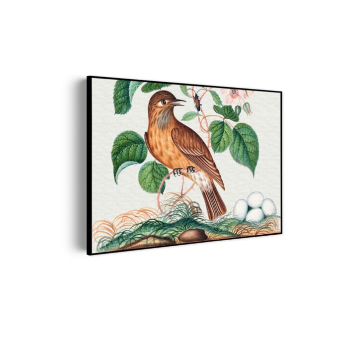Akoestisch Schilderij Prent Natuur Vogel en Bloemen 01 Rechthoek Horizontaal Template 50 70 horizontaal vintage 1 scaled 1