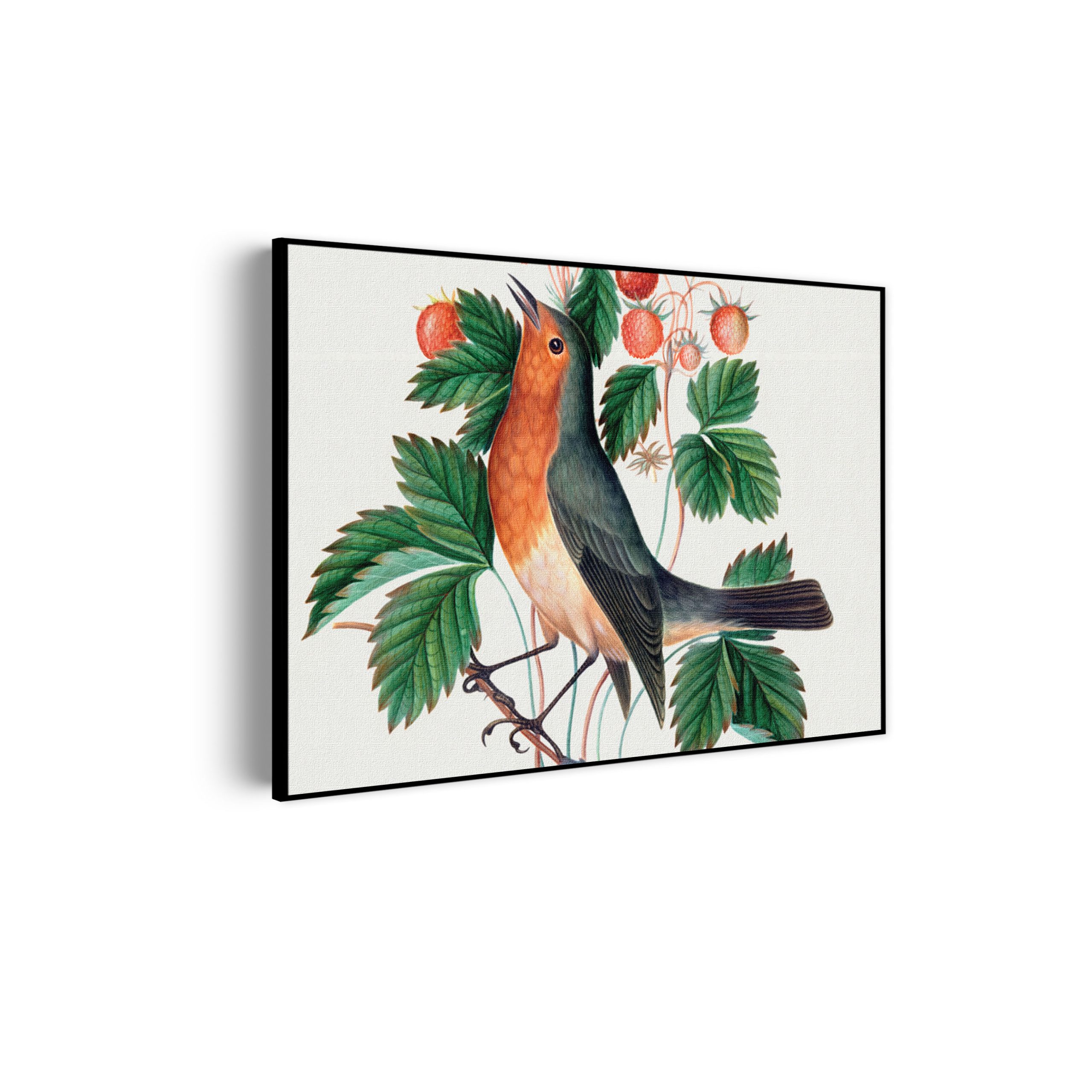 Template_50-70_horizontaal_vintage_11-scaled Akoestisch Schilderij Prent Natuur Vogel en Bloemen 01 Rechthoek Horizontaal Template 50 70 horizontaal vintage 11 scaled 1