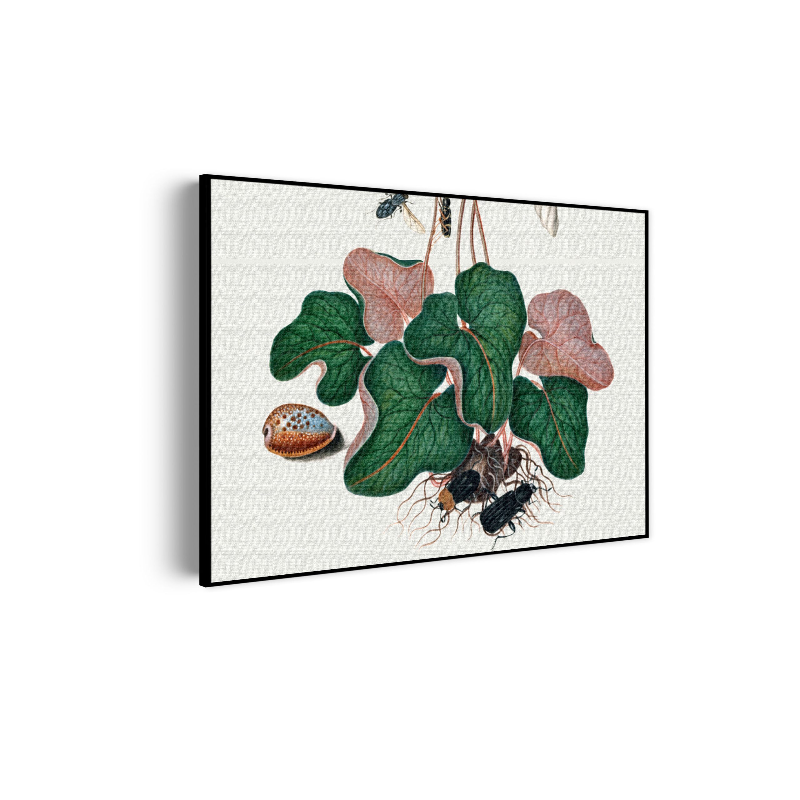 Akoestisch Schilderij Prent Natuur Vogel en Bloemen 12 Rechthoek Horizontaal Template 50 70 horizontaal vintage 12 scaled 1