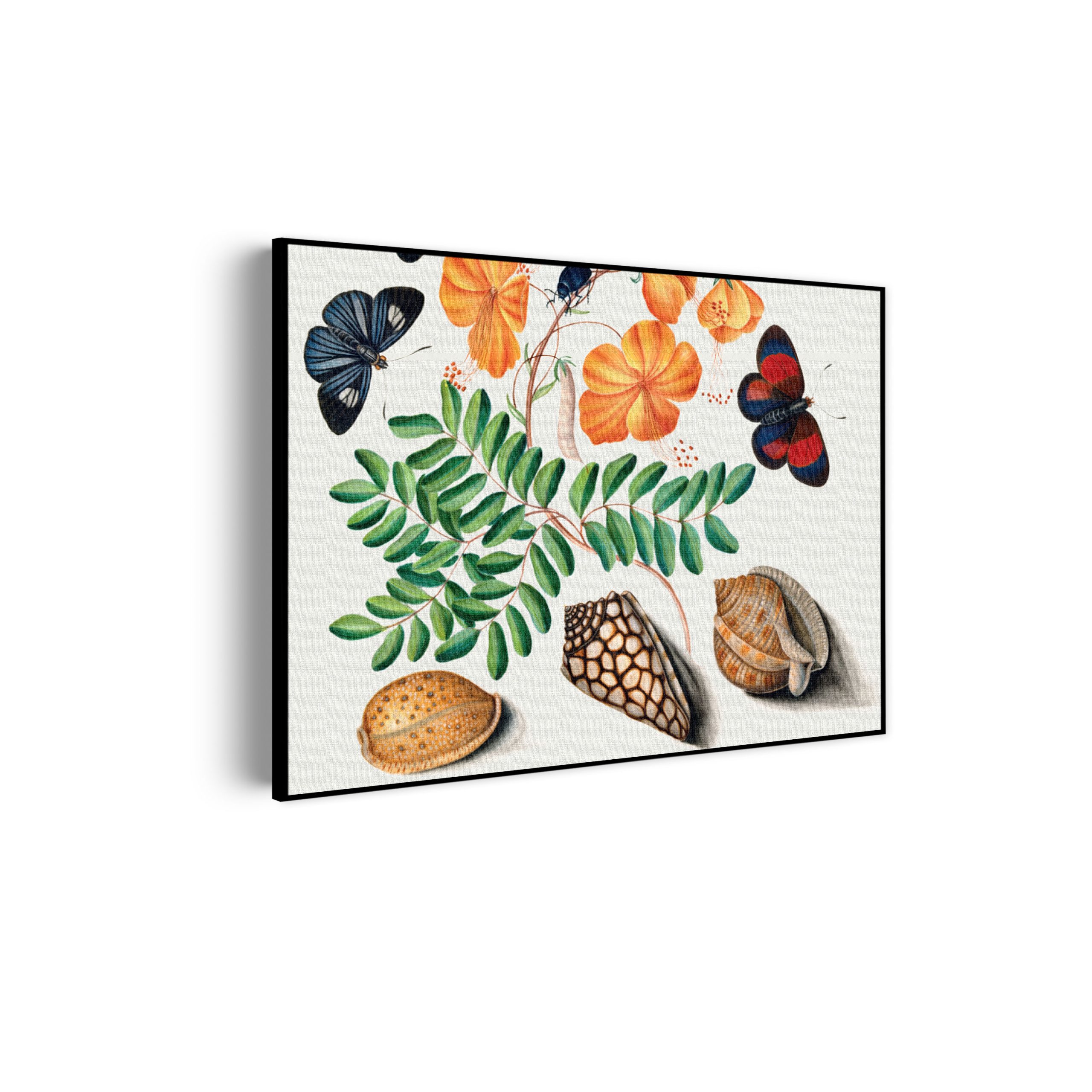 Template_50-70_horizontaal_vintage_13-scaled Akoestisch Schilderij Prent Natuur Vogel en Bloemen 01 Rechthoek Horizontaal Template 50 70 horizontaal vintage 13 scaled 1
