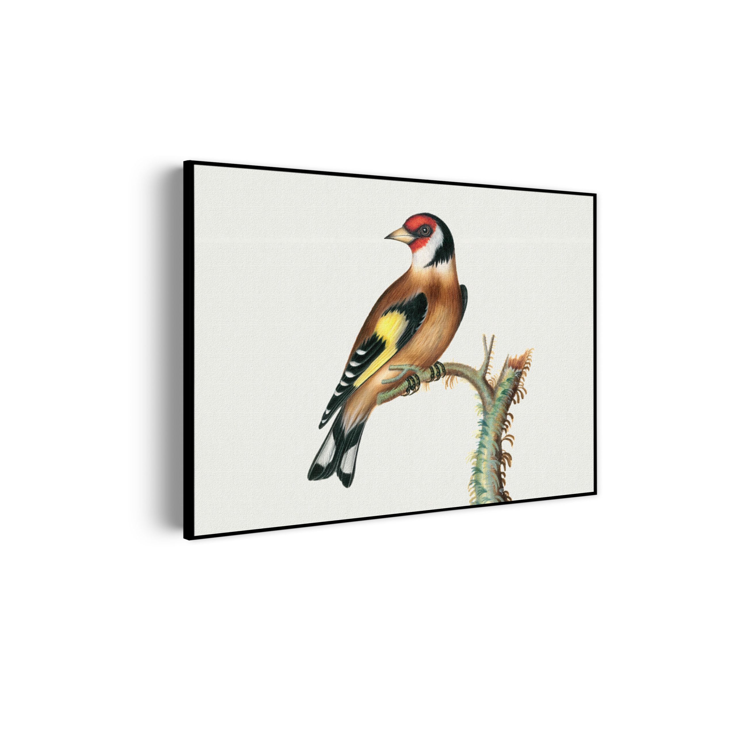 Template_50-70_horizontaal_vintage_15-scaled Akoestisch Schilderij Prent Natuur Vogel en Bloemen 01 Rechthoek Horizontaal Template 50 70 horizontaal vintage 15 scaled 1