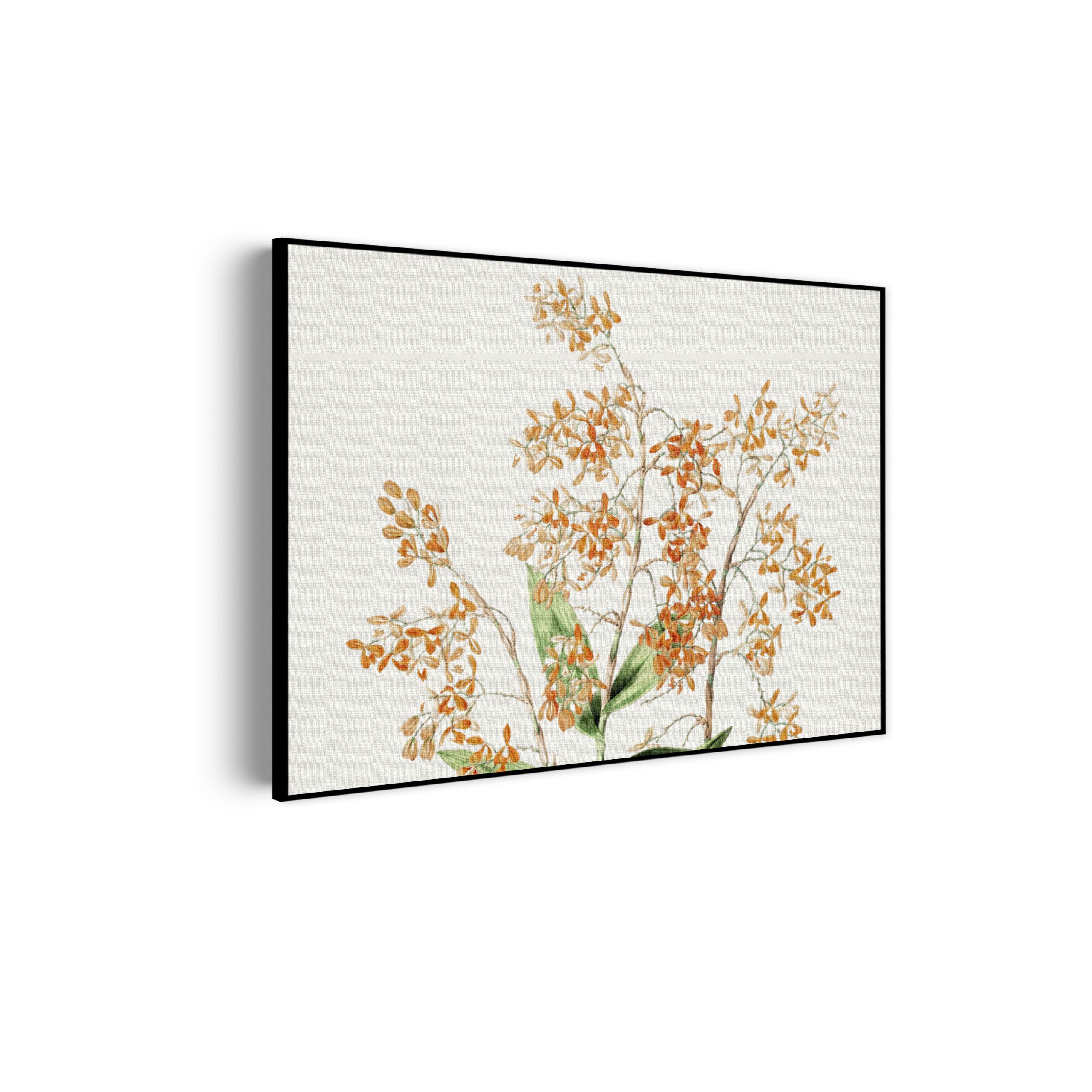 Template_50-70_horizontaal_vintage_16-scaled Akoestisch Schilderij Prent Natuur Vogel en Bloemen 01 Rechthoek Horizontaal Template 50 70 horizontaal vintage 16 scaled 1