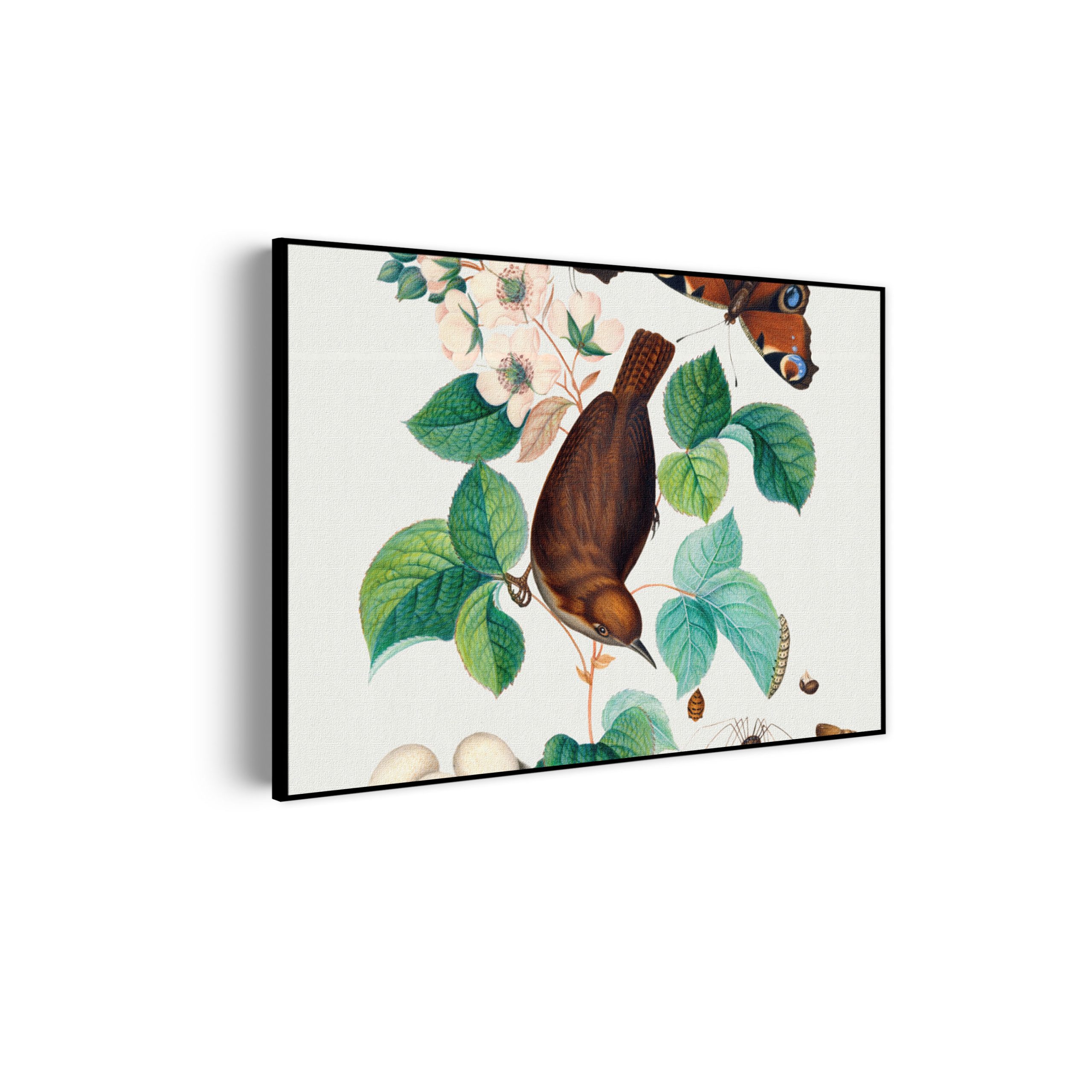Template_50-70_horizontaal_vintage_3-scaled Akoestisch Schilderij Prent Natuur Vogel en Bloemen 01 Rechthoek Horizontaal Template 50 70 horizontaal vintage 3 scaled 1