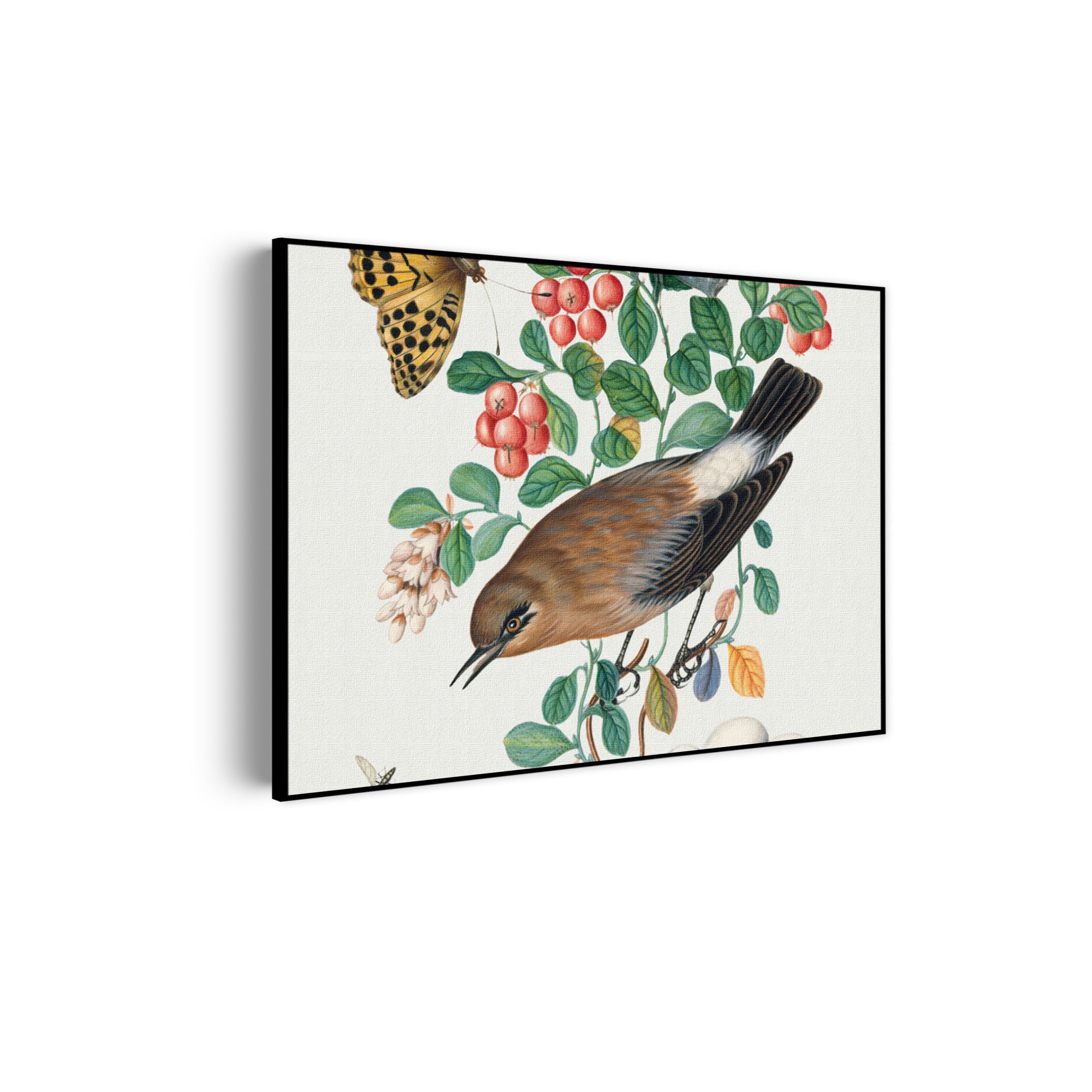 Template_50-70_horizontaal_vintage_5-scaled Akoestisch Schilderij Prent Natuur Vogel en Bloemen 01 Rechthoek Horizontaal Template 50 70 horizontaal vintage 5 scaled 1