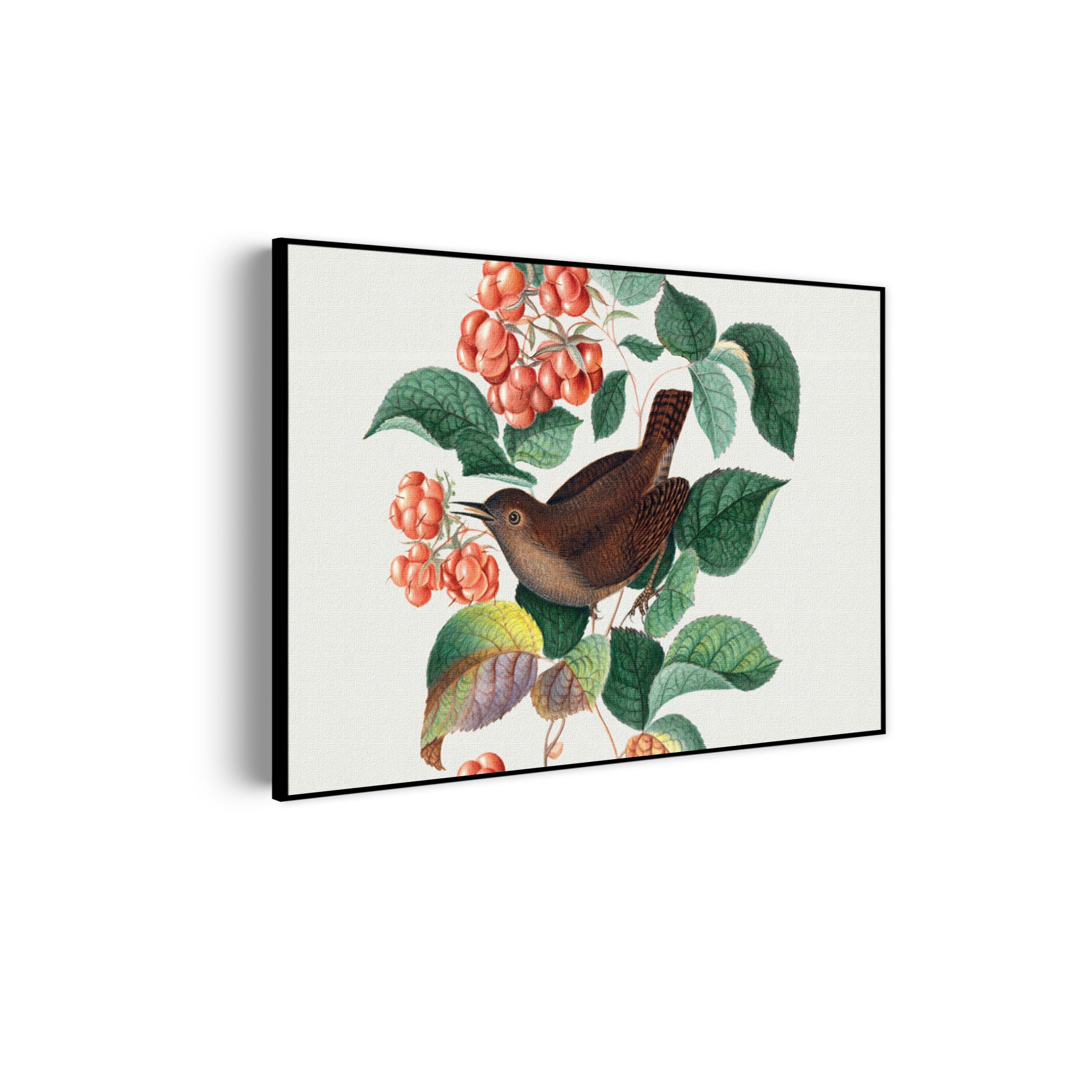 Template_50-70_horizontaal_vintage_8-scaled Akoestisch Schilderij Prent Natuur Vogel en Bloemen 01 Rechthoek Horizontaal Template 50 70 horizontaal vintage 8 scaled 1
