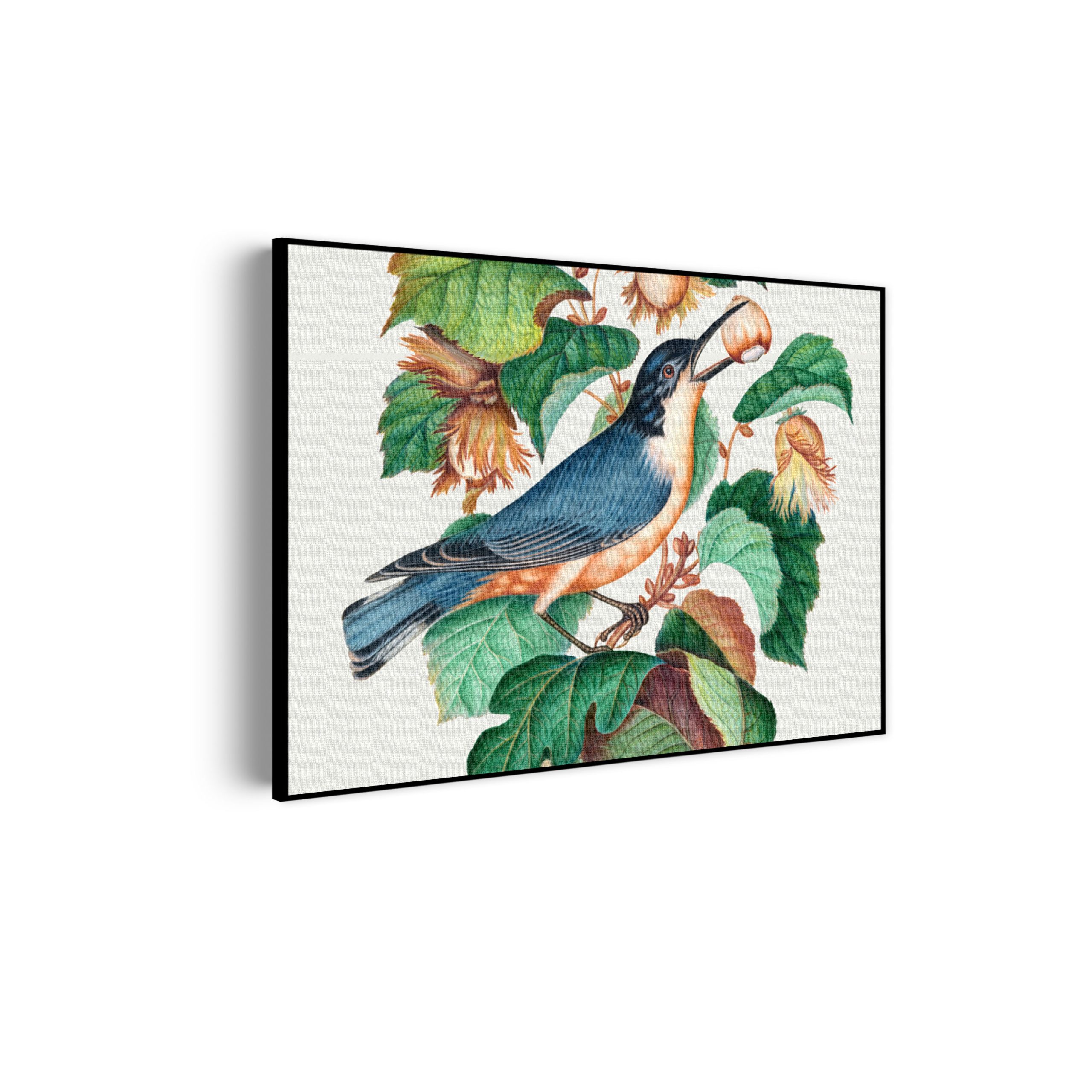 Template_50-70_horizontaal_vintage_9-scaled Akoestisch Schilderij Prent Natuur Vogel en Bloemen 01 Rechthoek Horizontaal Template 50 70 horizontaal vintage 9 scaled 1