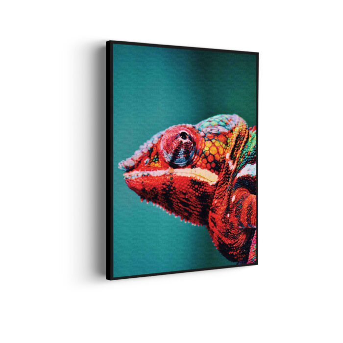 Akoestisch Schilderij Kameleon Kleurrijk Rechthoek Verticaal Template 50 70 verticaal dieren 10 scaled 1