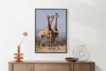 Akoestisch Schilderij Drie Giraffen Rechthoek Verticaal Template 50 70 verticaal dieren 14 2 scaled 1