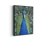 Akoestisch Schilderij Blauwe Pauw Met Groene Verem Rechthoek Verticaal Template 50 70 verticaal dieren 20 scaled 1