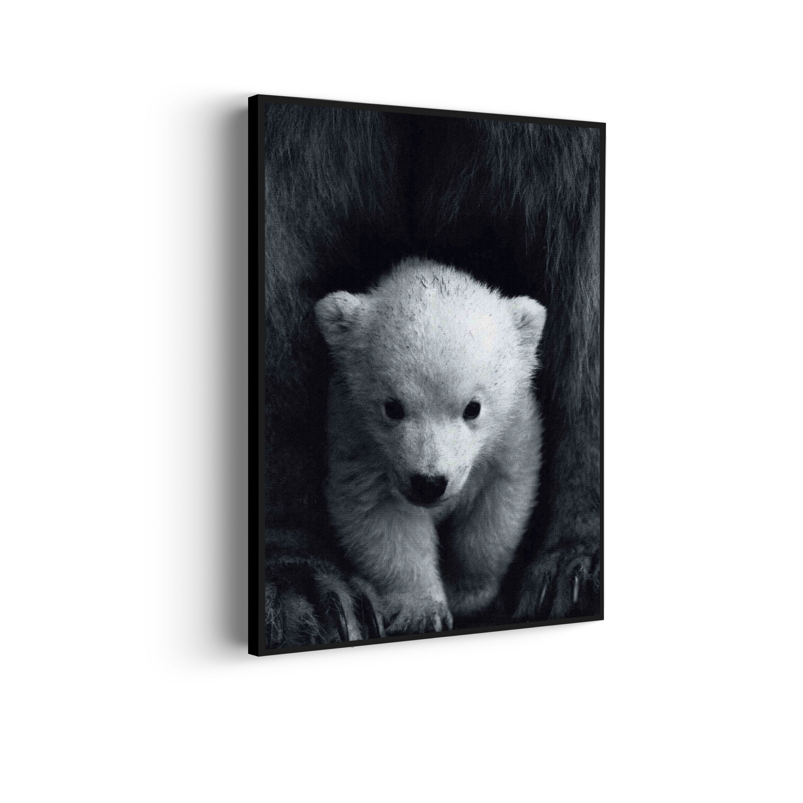 Akoestisch Schilderij Het Beschermde Welpje Rechthoek Verticaal Template 50 70 verticaal dieren 22 scaled 1