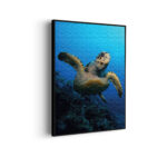 Akoestisch Schilderij Zeeschildpad In Helderblauw Water 02 Rechthoek Verticaal Template 50 70 verticaal dieren 26 scaled 1