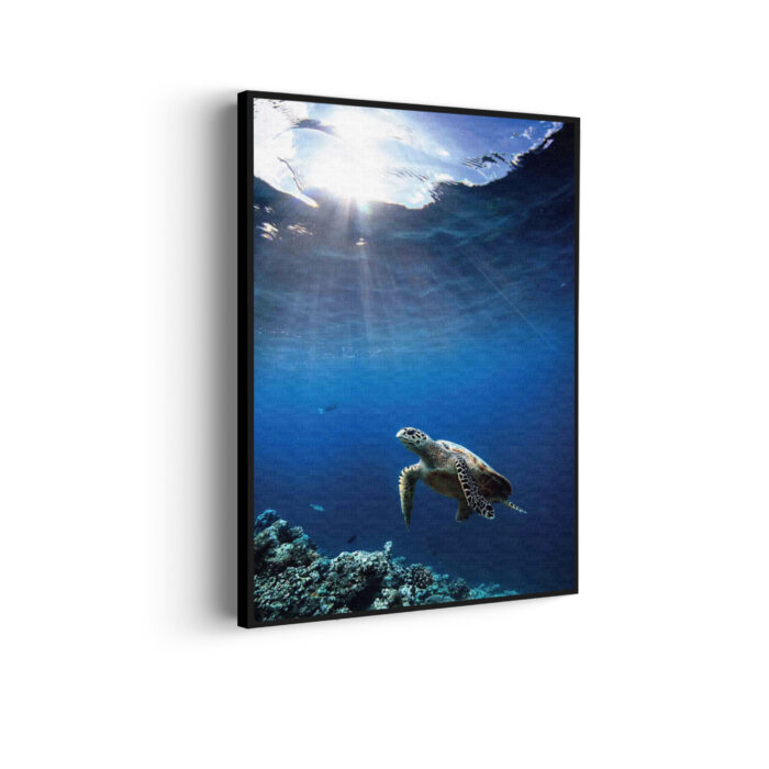 Akoestisch Schilderij Zeeschildpad In Helderblauw Water 02 Rechthoek Verticaal Template 50 70 verticaal dieren 30 scaled 1