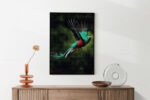 Akoestisch Schilderij Schitterende Vliegende Quetzal Vogel Rechthoek Verticaal Template 50 70 verticaal dieren 34 2 scaled 1